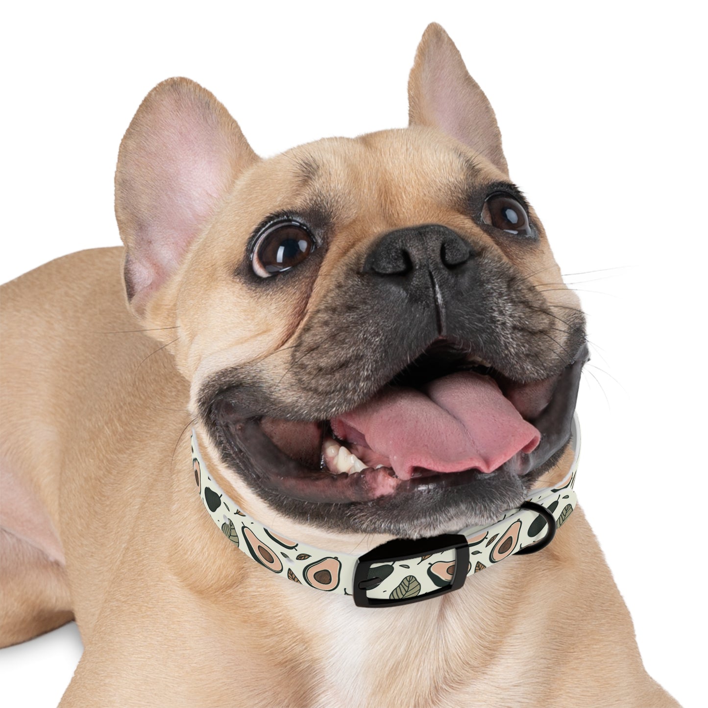 Avocado Dog Collar 🥑