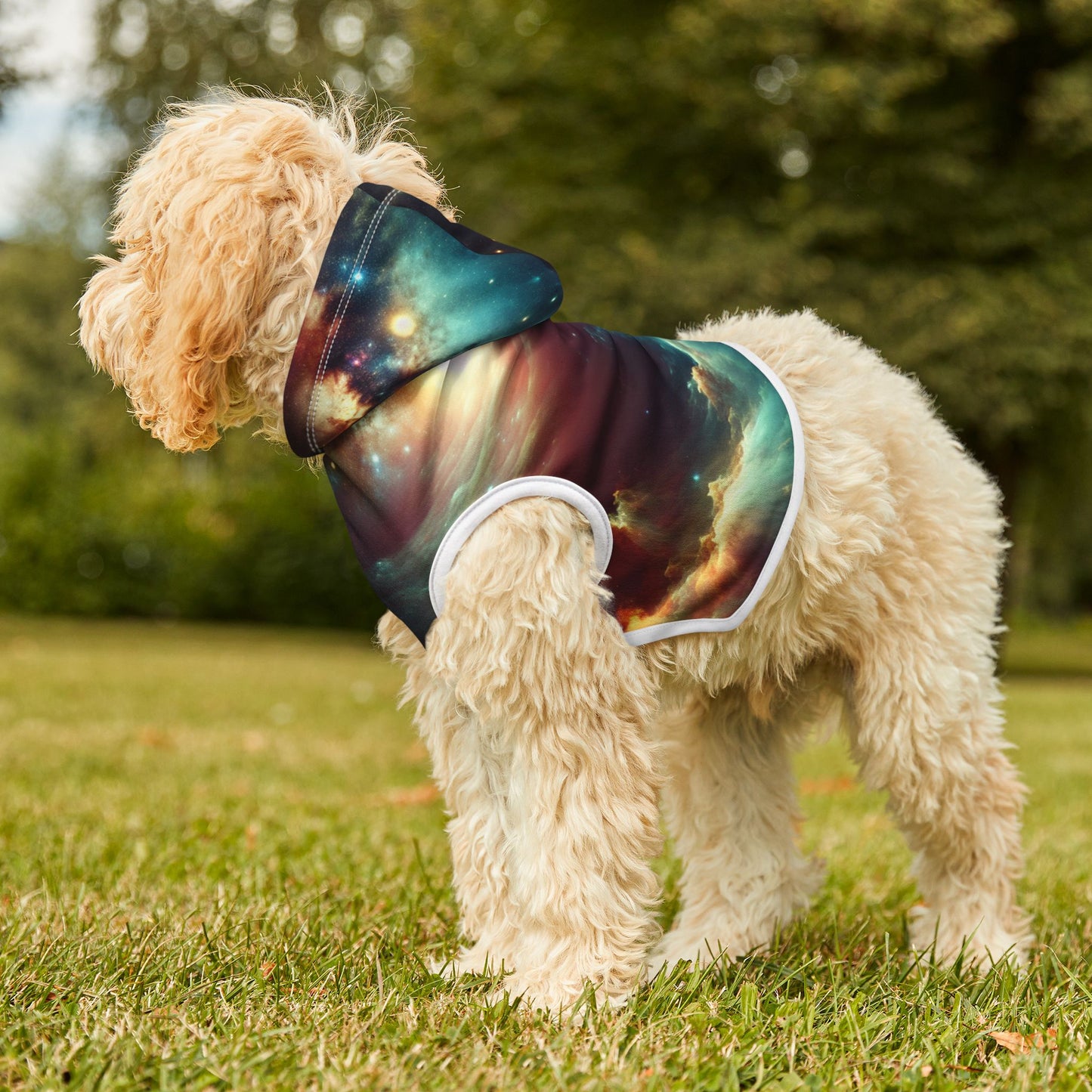Spacey Pet Hoodie π