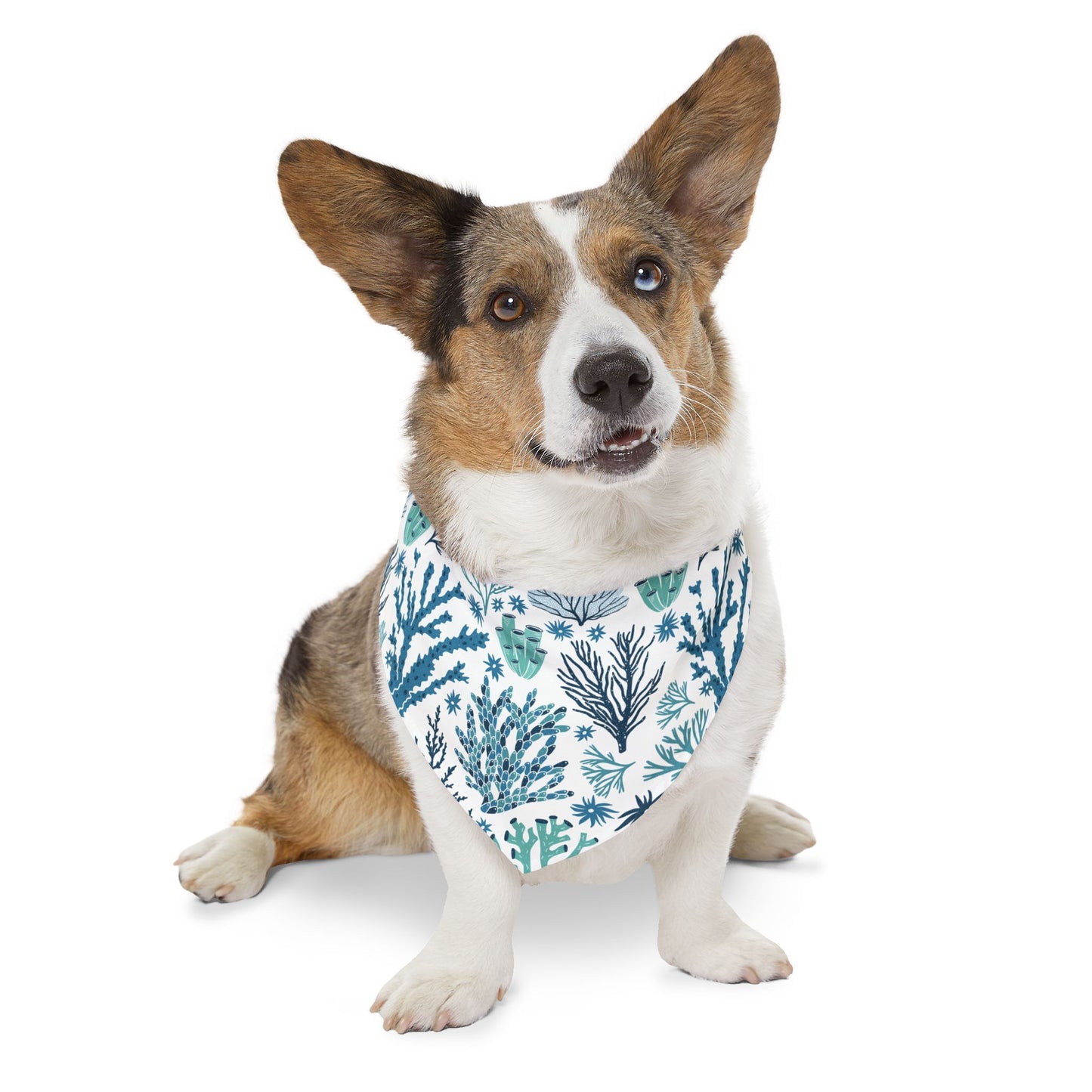 Coral Reef Pet Bandana Collar 🪸