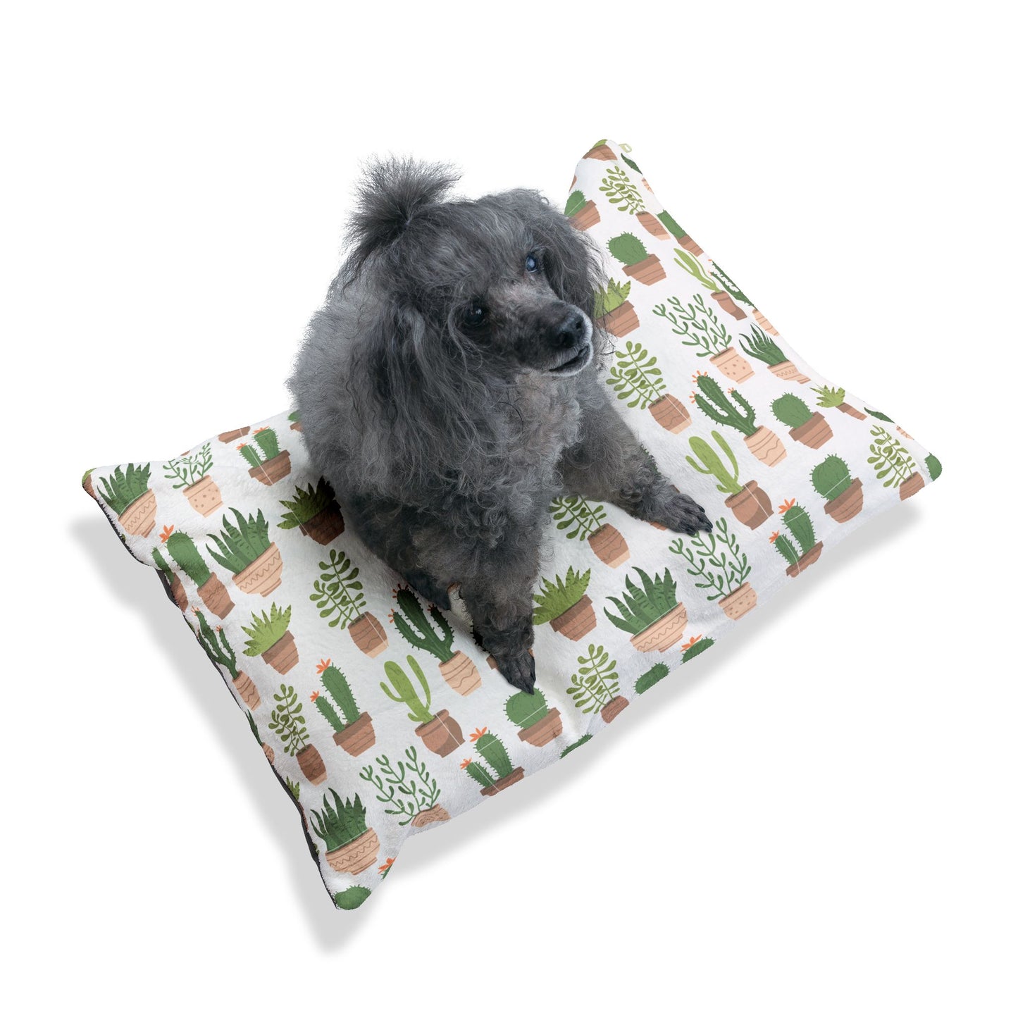 Succulent Snuggler Plush Pet Bed 🌵