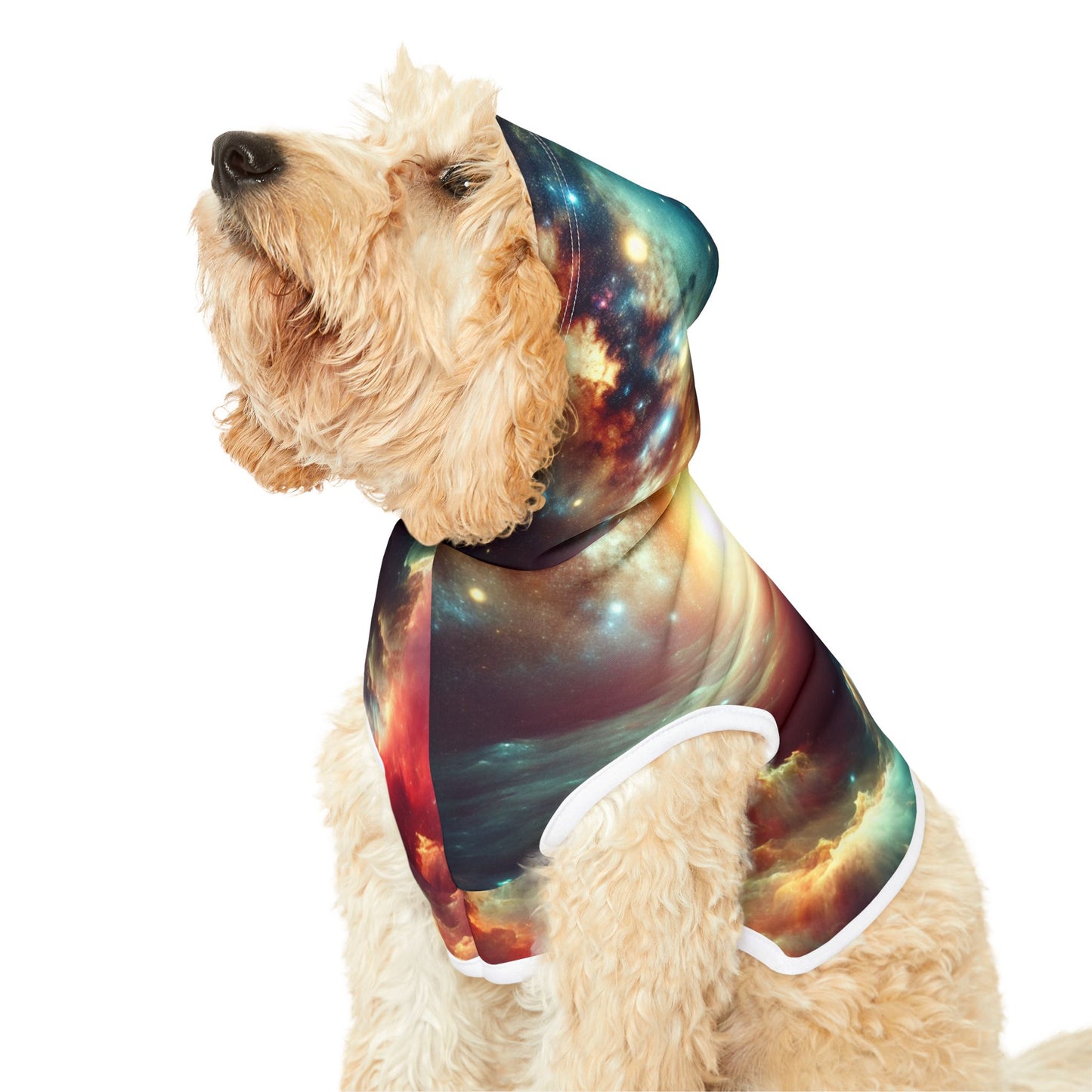 Spacey Pet Hoodie π