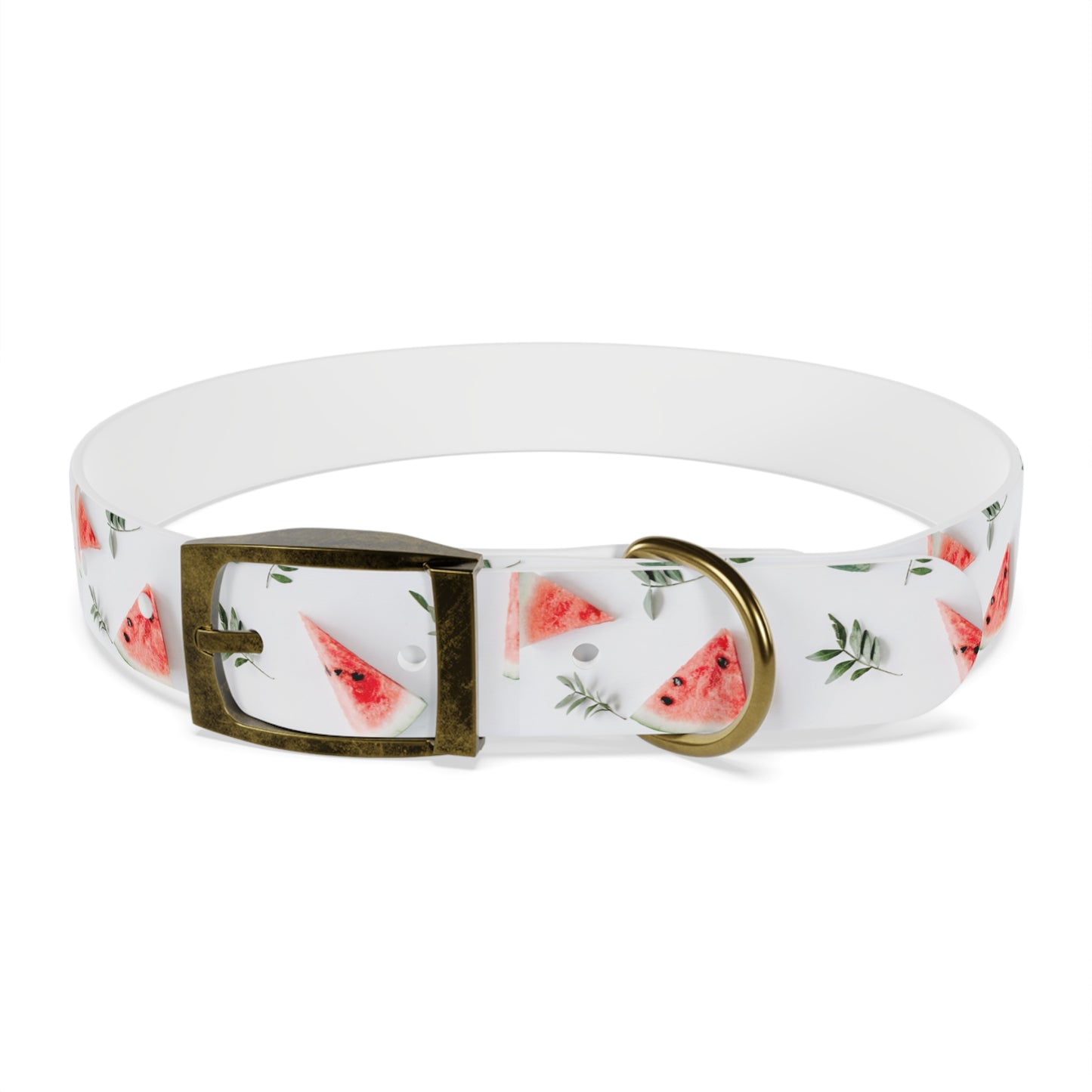 Watermelon Dog Collar π