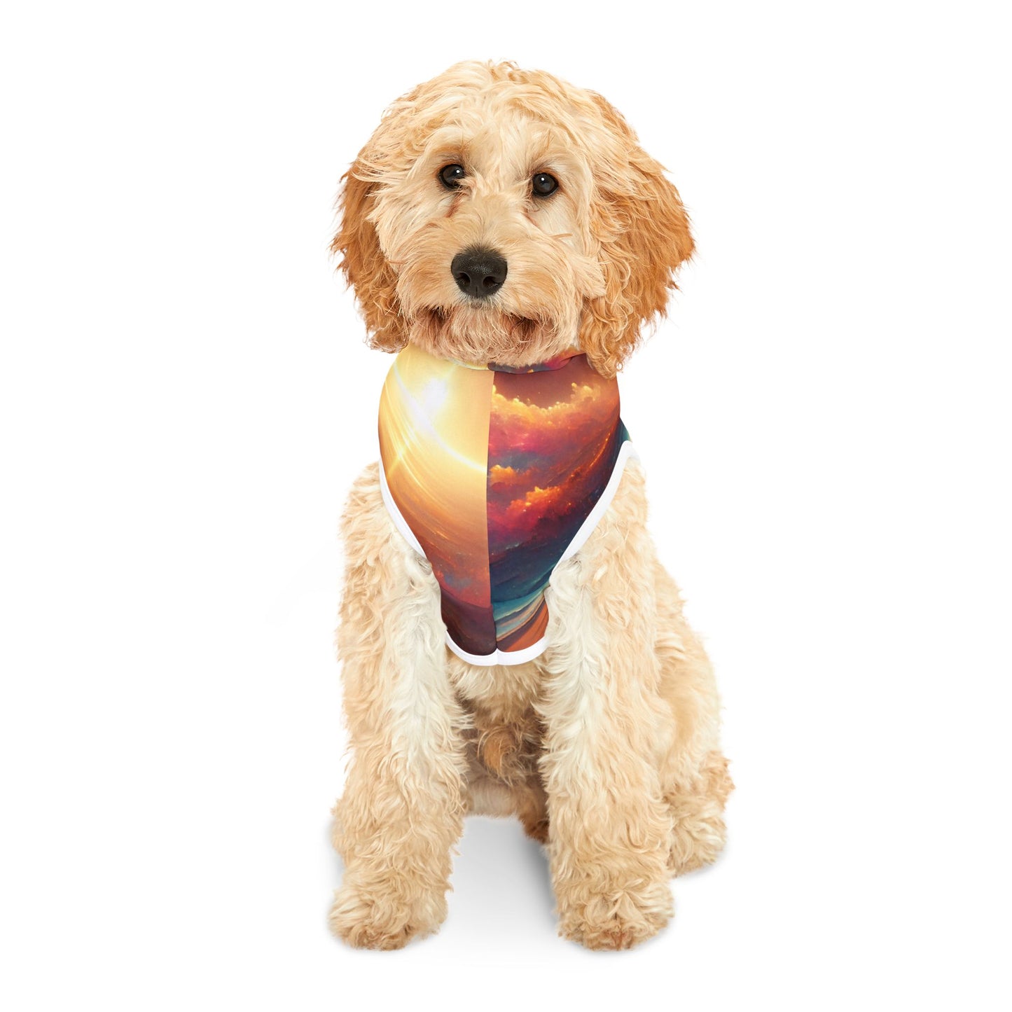 Sunlight Desert Space Pet Hoodie π΅