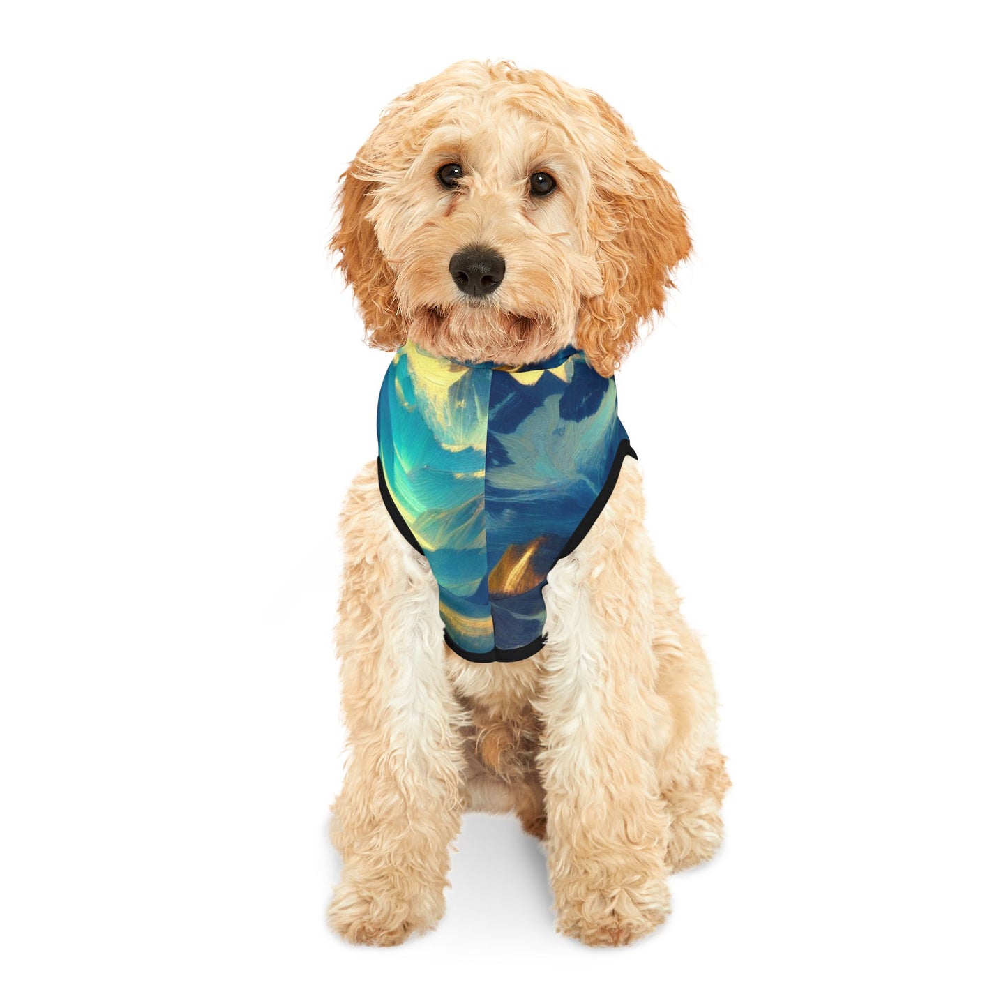 Starry Night Magic Mountain Pet Hoodie πβ¨