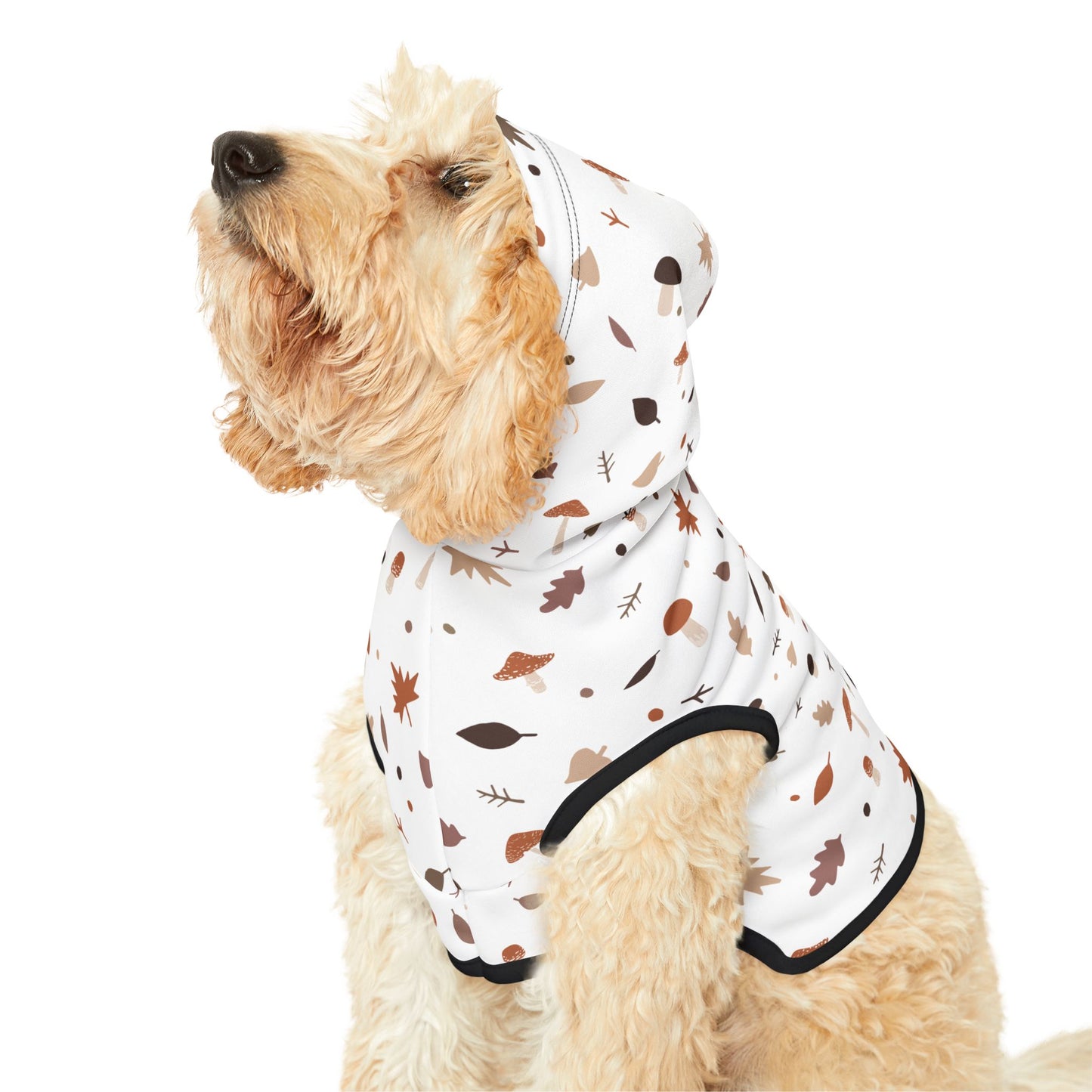 Falling for Fall Pet Hoodie π
