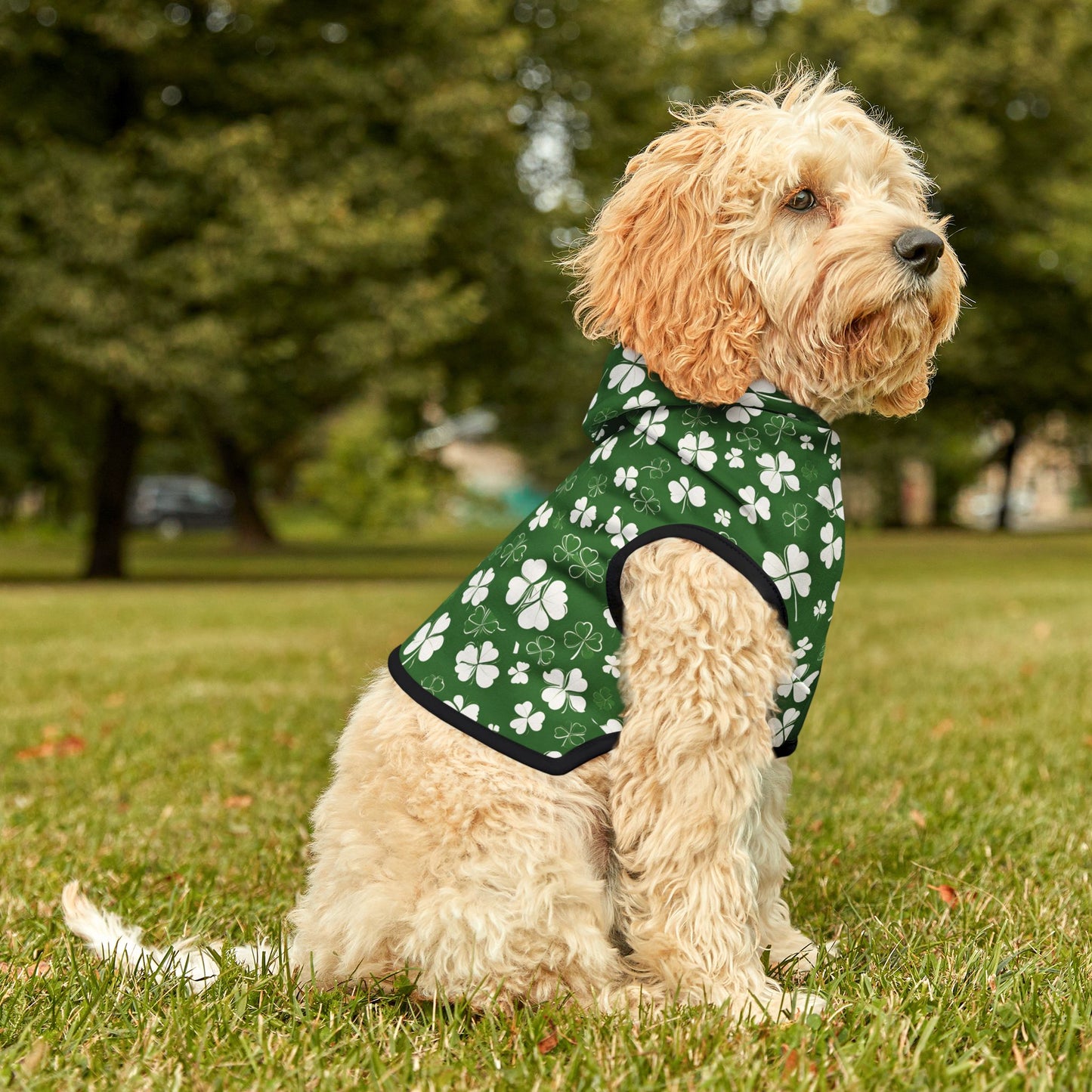 Lucky Pup Shamrock Pet Hoodie ๐
