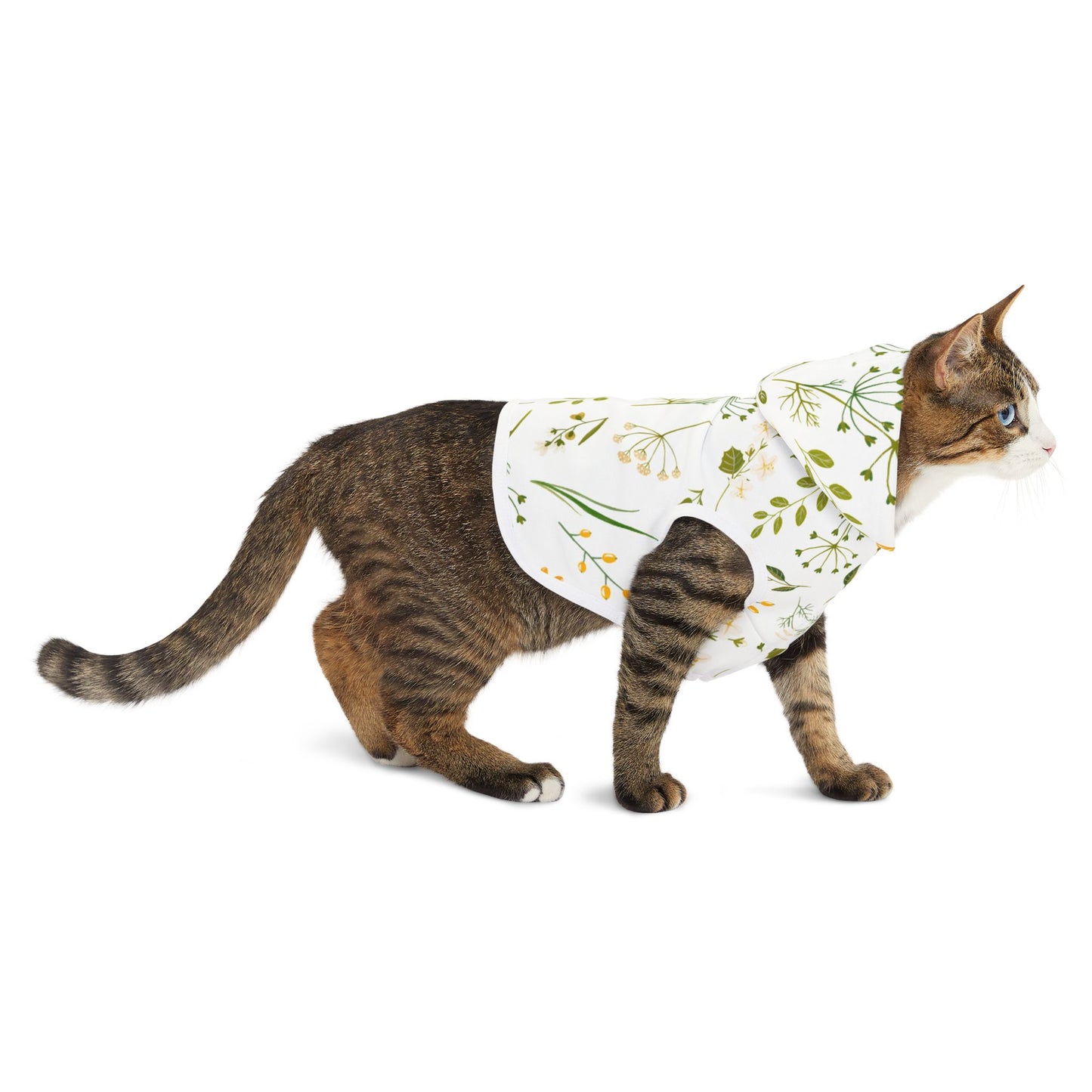 Spring Vibes Pet Hoodie ๐ฟ