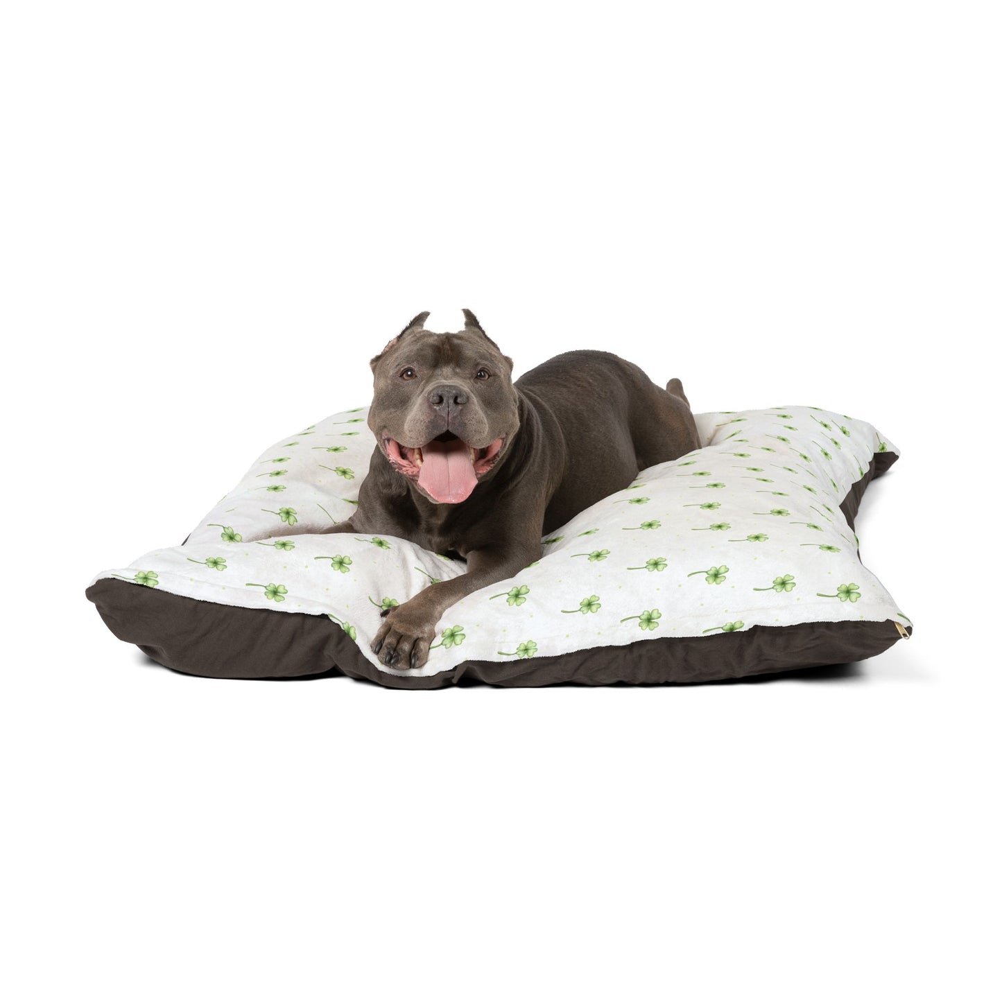 Lucky Clover Pet Bed๐๐พ
