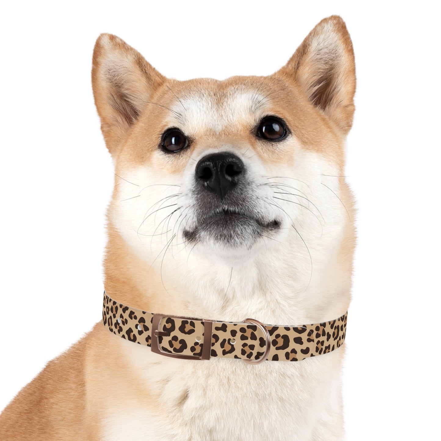 Leopard Print Dog Collar π