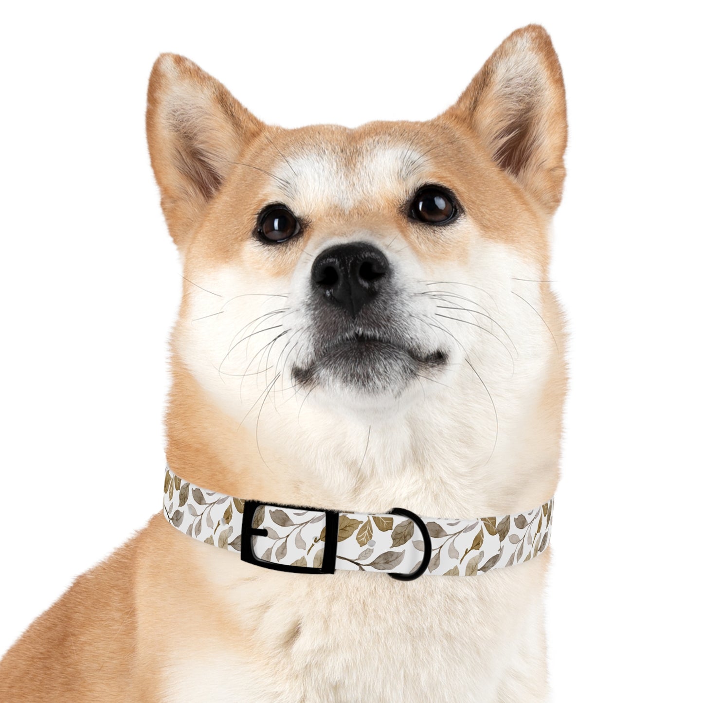 Echoes of Earth Dog Collar 🌿
