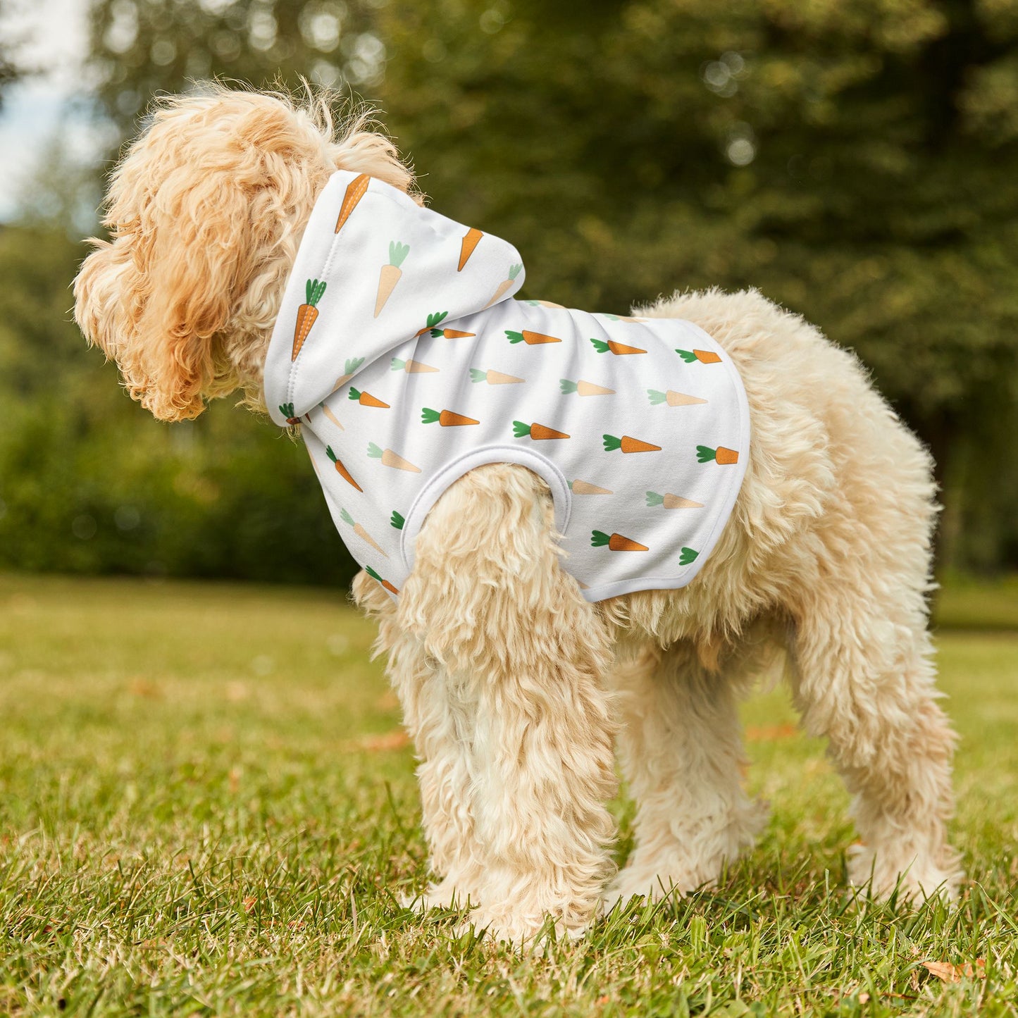 Carrot Pet Hoodie π₯
