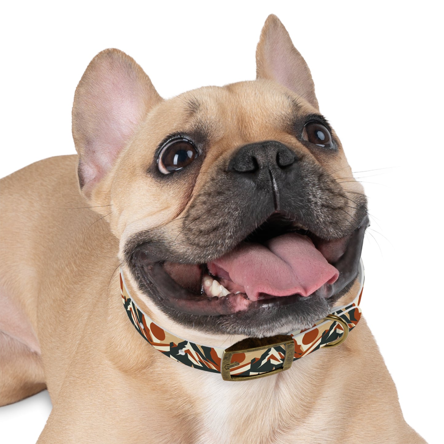 Minimalist Mountain Dog Collar ๐๏ธ