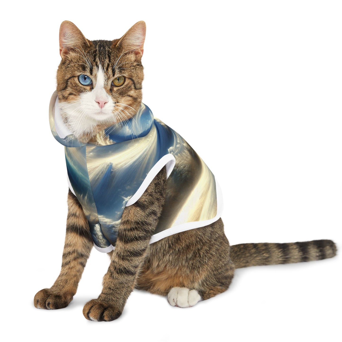 Mysterious Snowy Mountains Pet Hoodie βοΈποΈ