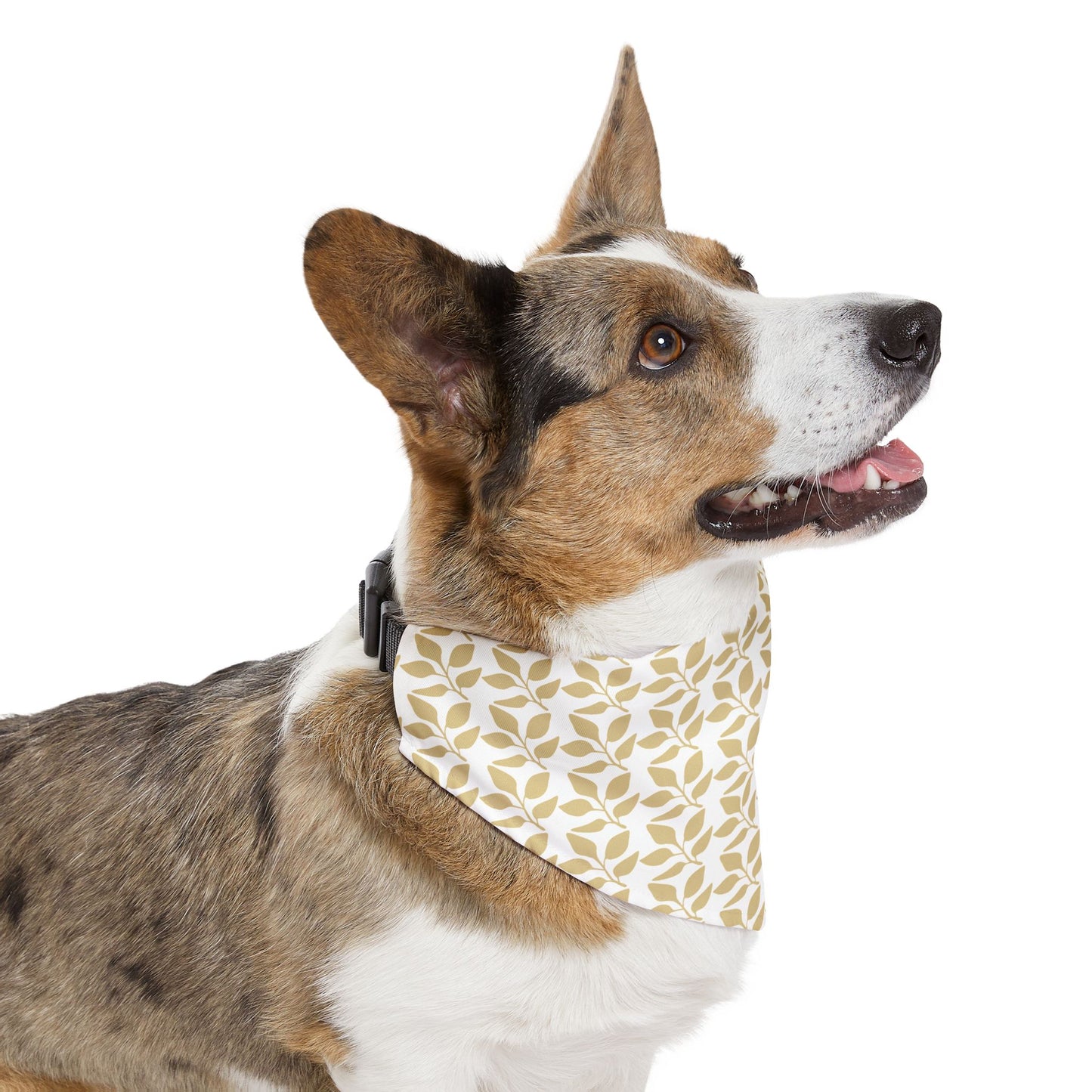 Golden Branch Pet Bandana Collar 🌿✨