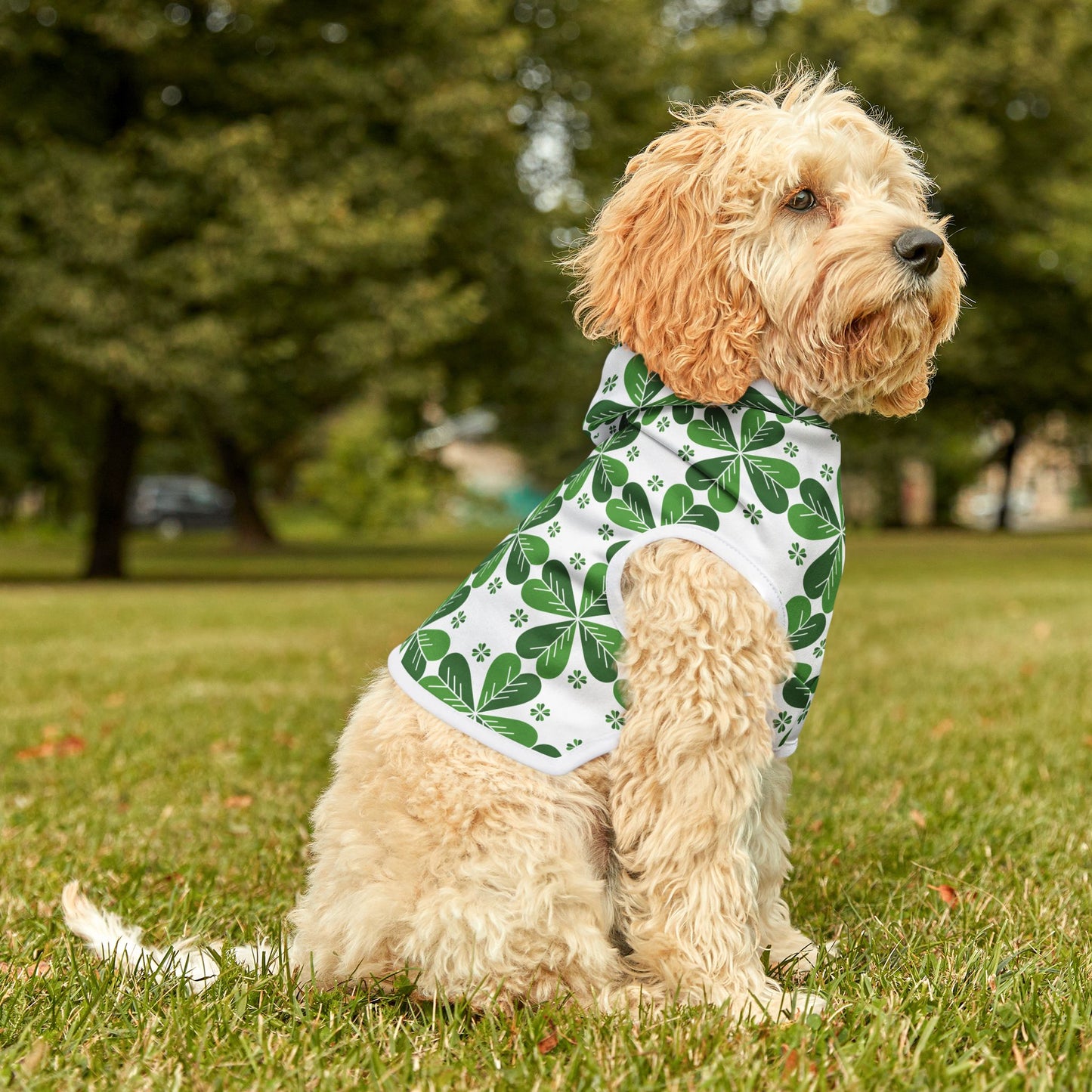 Lucky Clover Pet Hoodie π