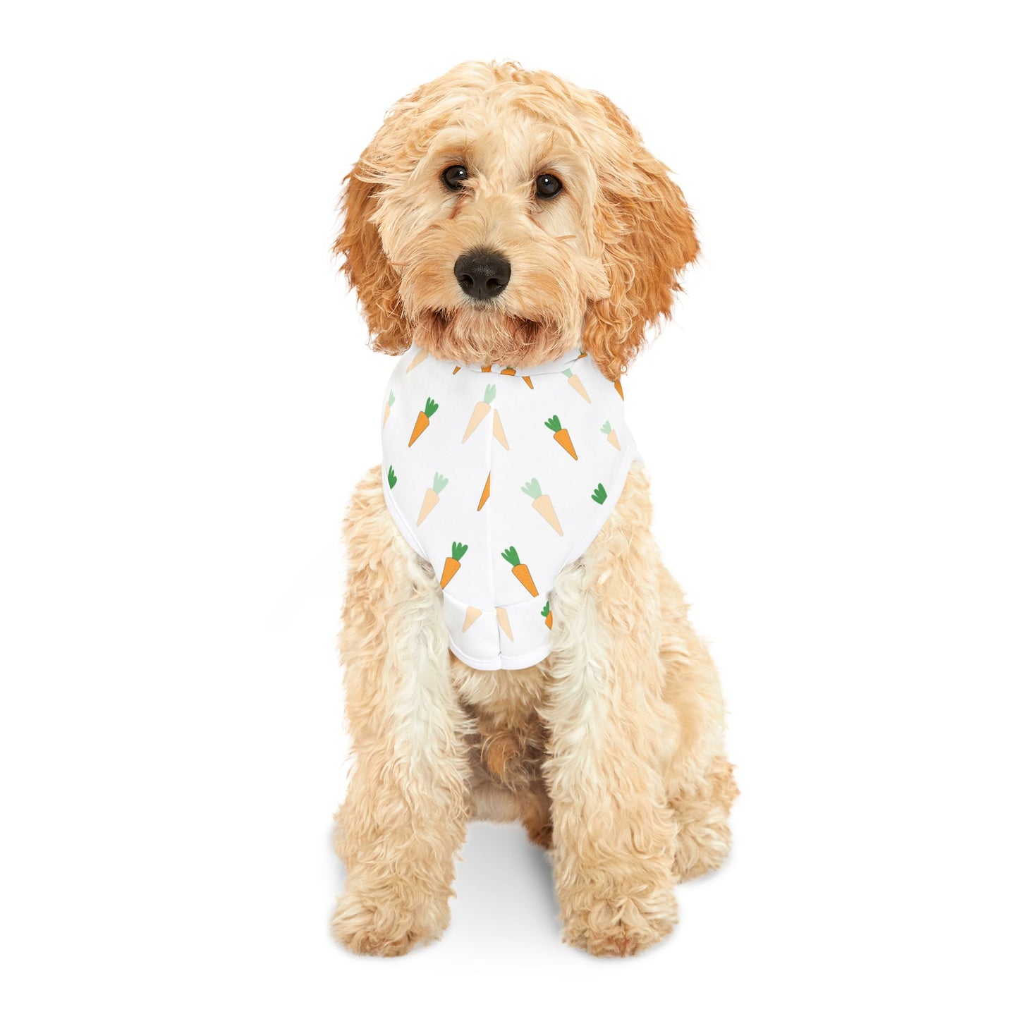 Carrot Pet Hoodie π₯