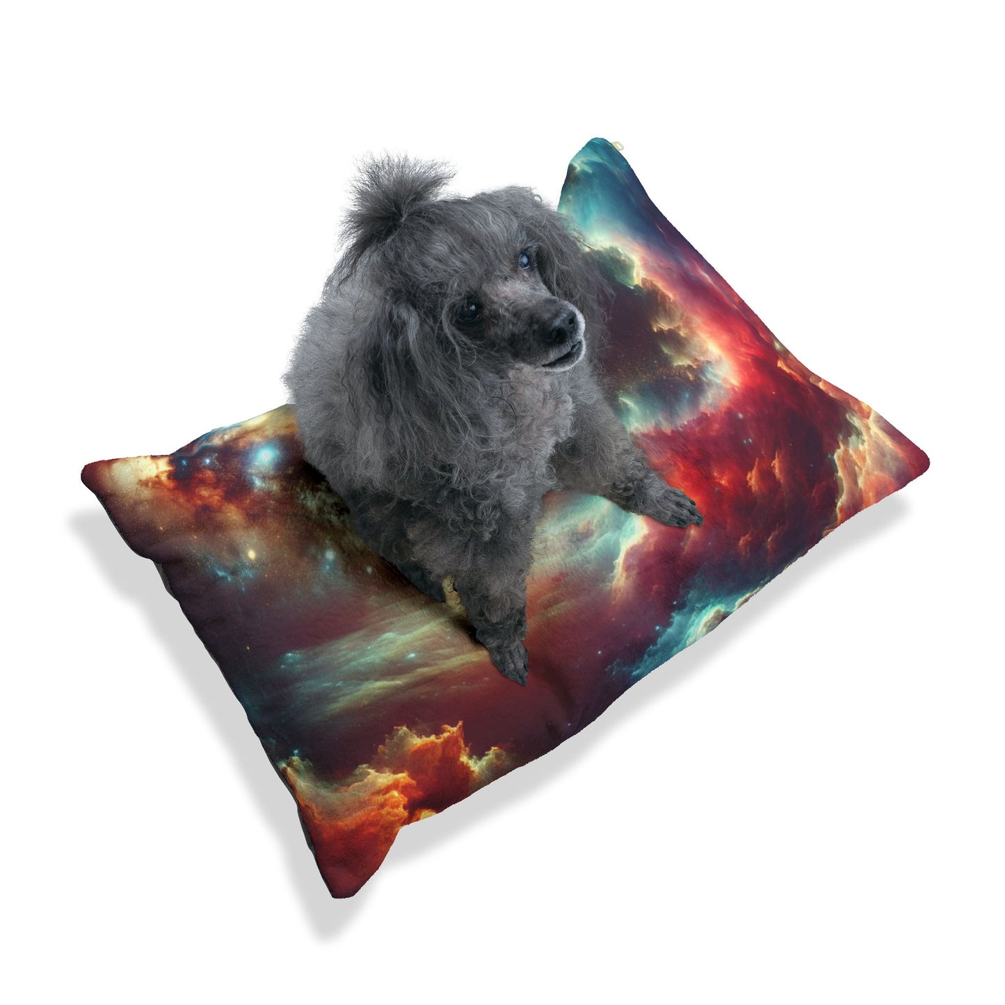 Spacey Pet Bed 🚀