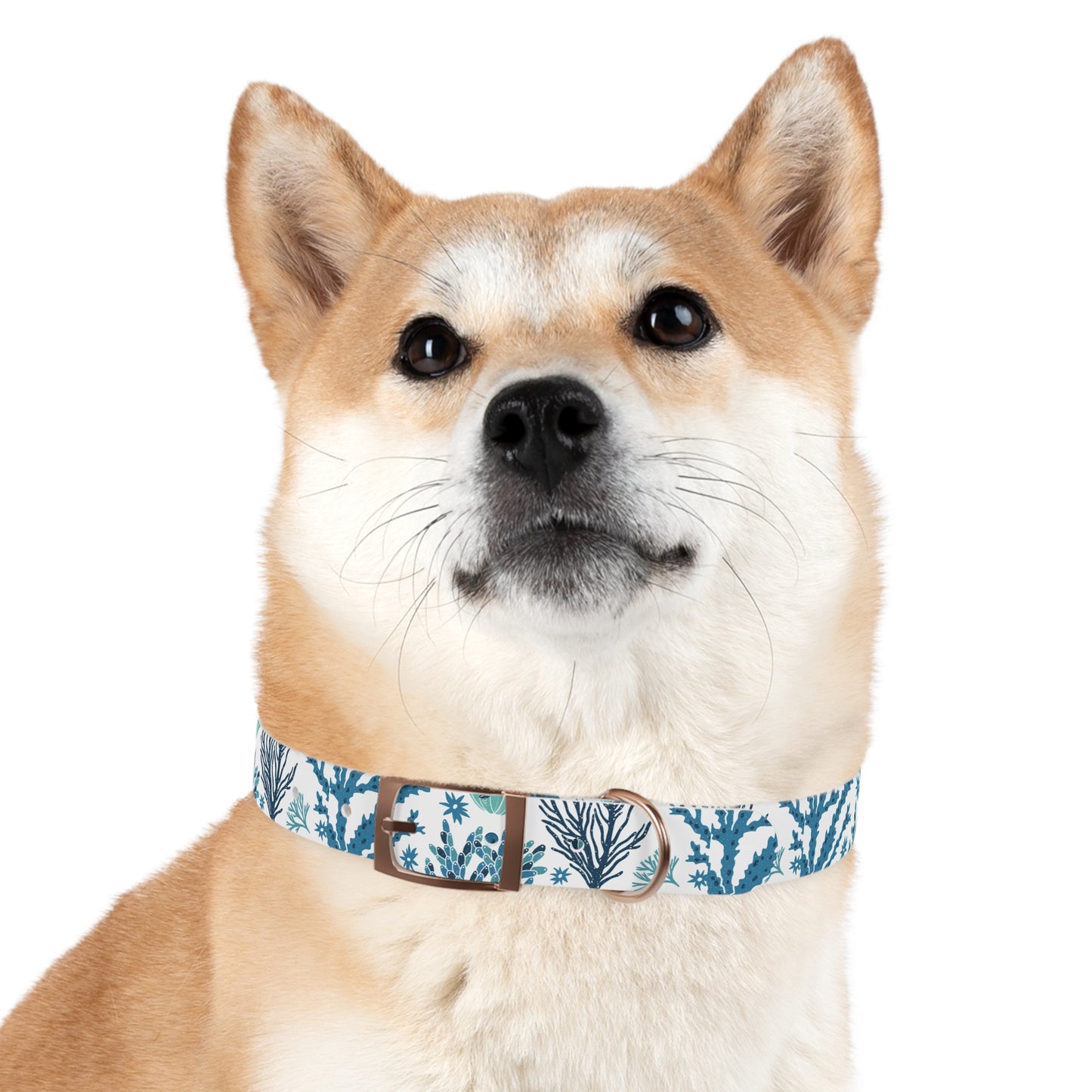 Coral Reef Eco-Friendly Dog Collar 🪸