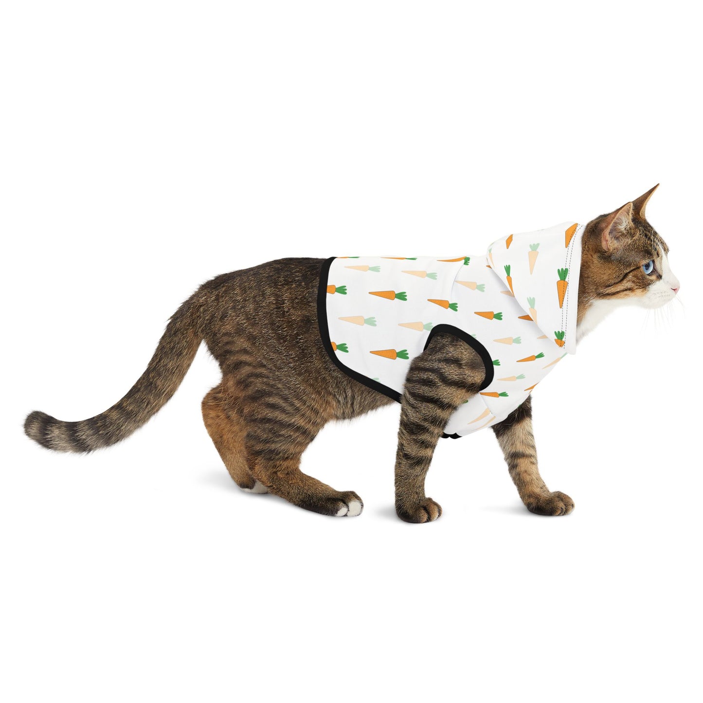 Carrot Pet Hoodie π₯