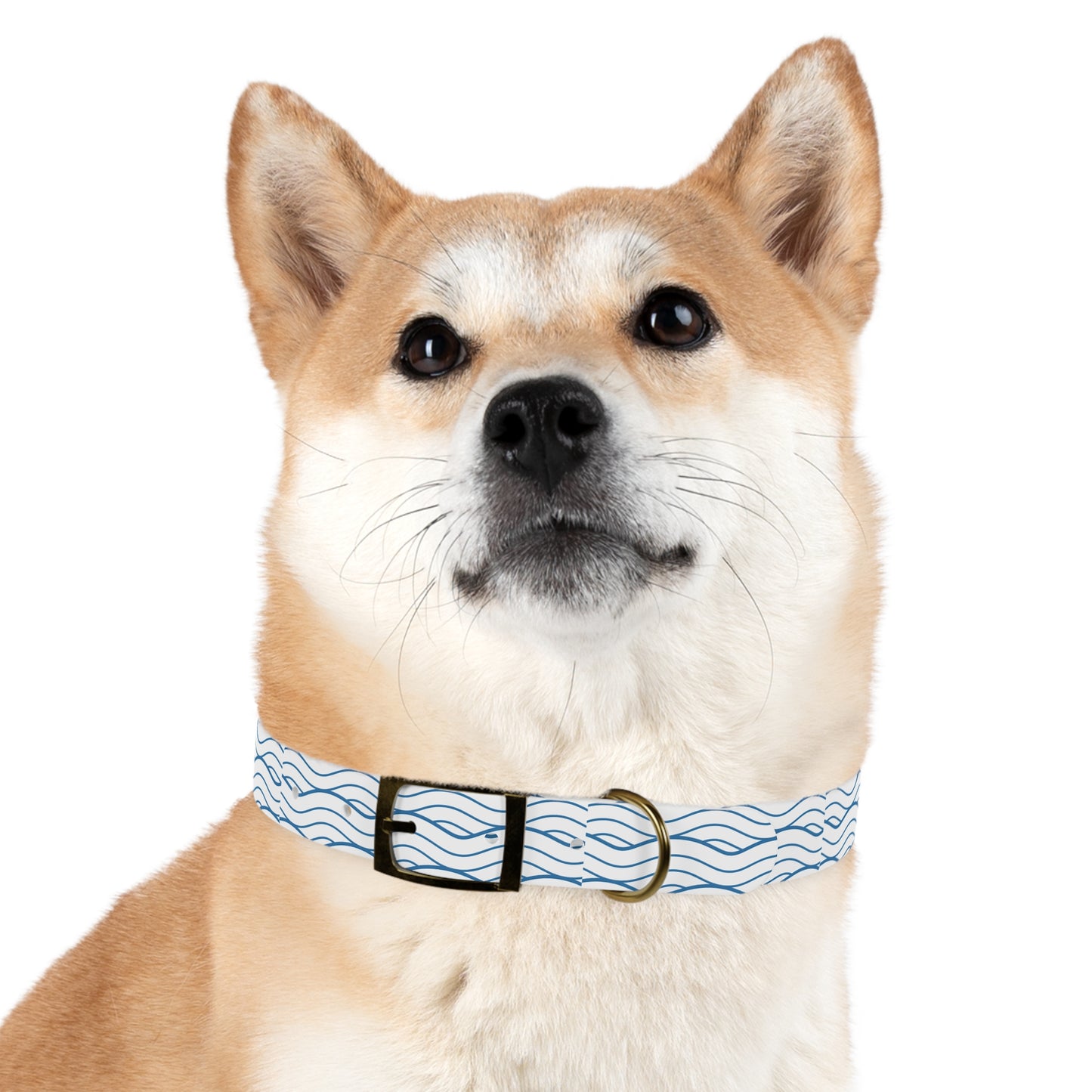 Wave Pattern Dog Collar π