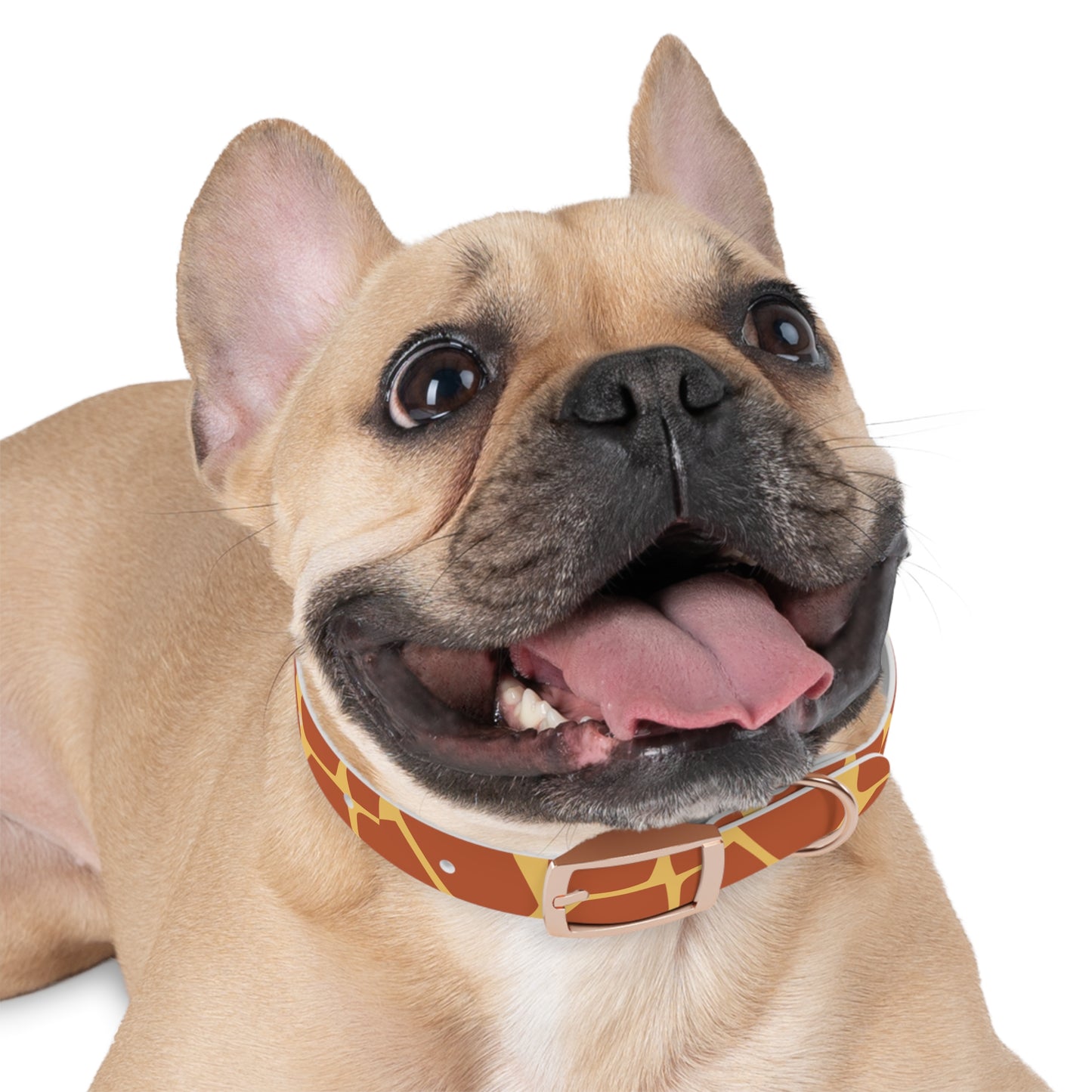Giraffe Pattern Dog Collar π¦