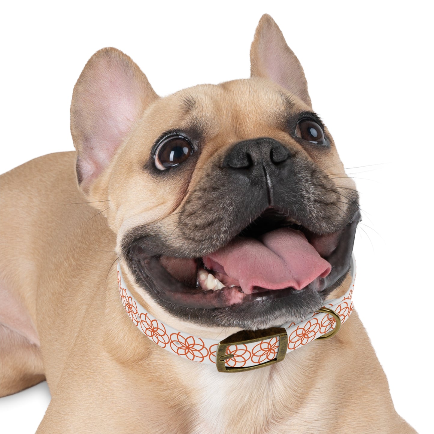 Flower of Life Dog Collar 🌼