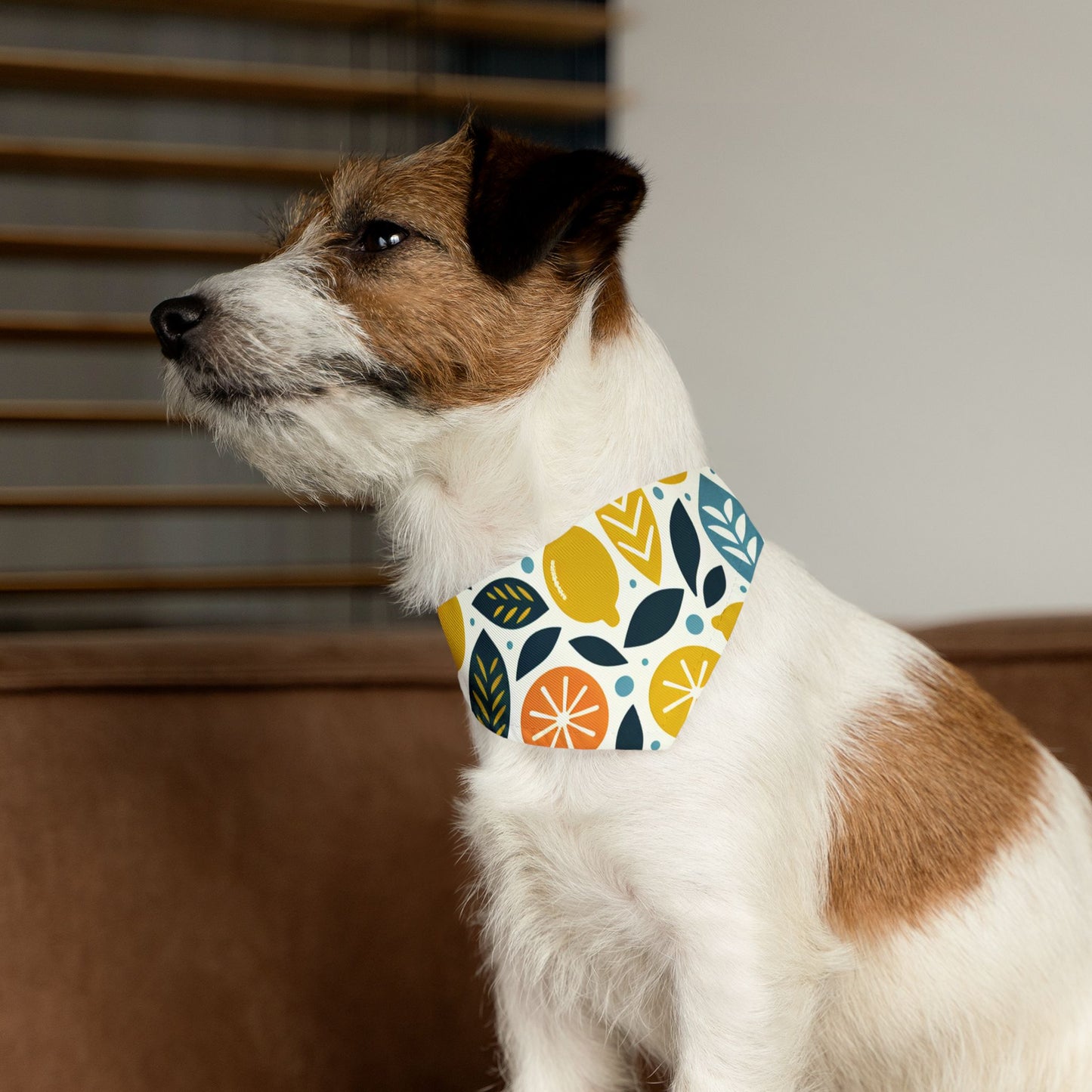 Citrus Pet Bandana Collar ๐