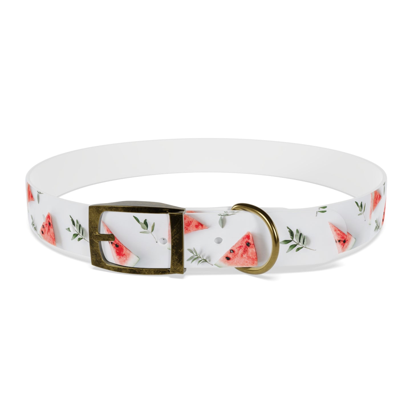 Watermelon Dog Collar π