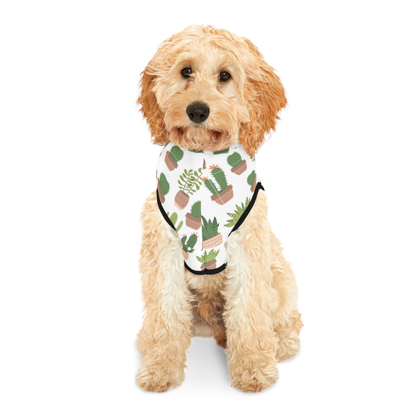 Succulent Snuggler Pet Hoodie π΅