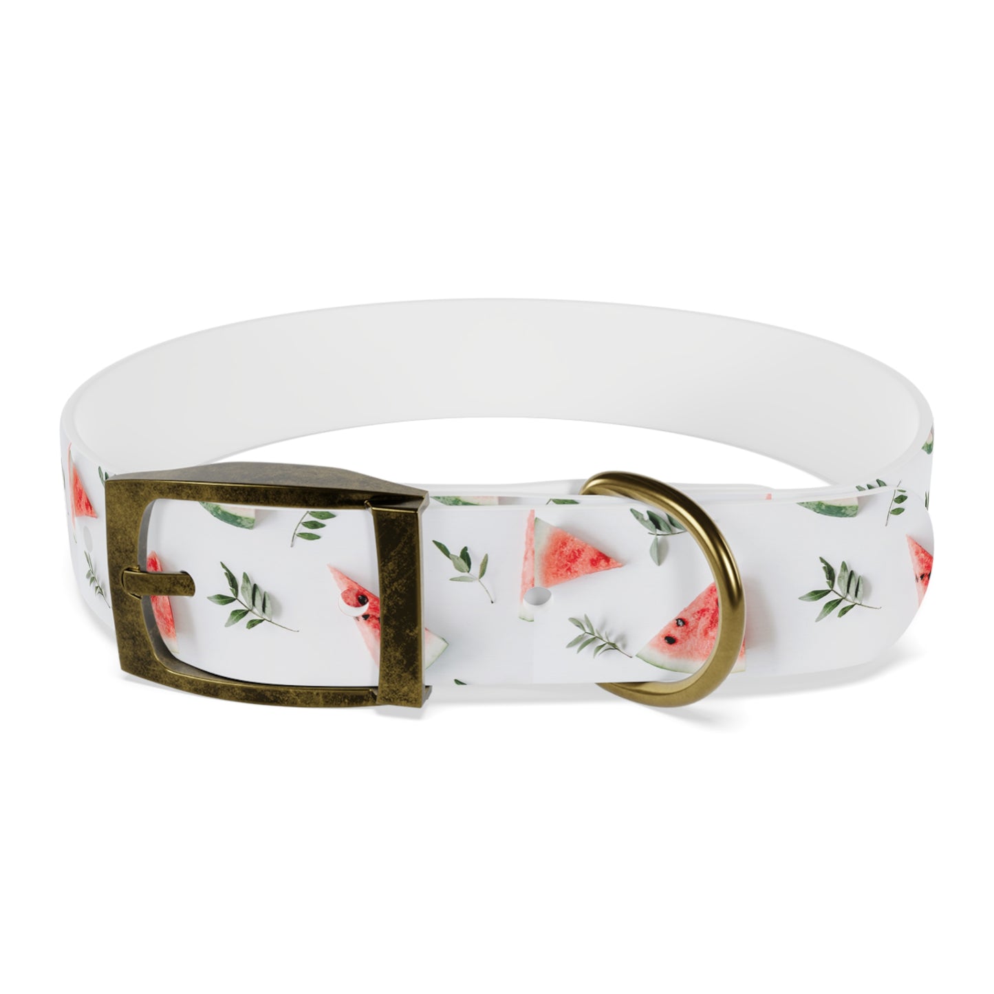 Watermelon Dog Collar π