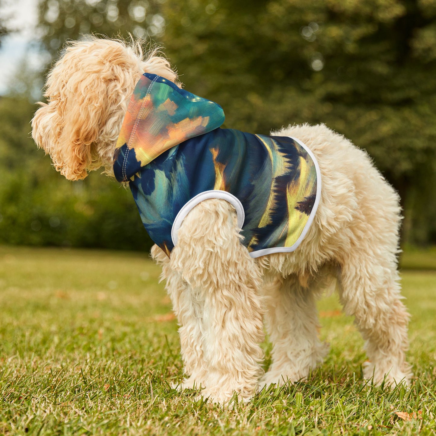 Starry Night Magic Mountain Pet Hoodie πβ¨