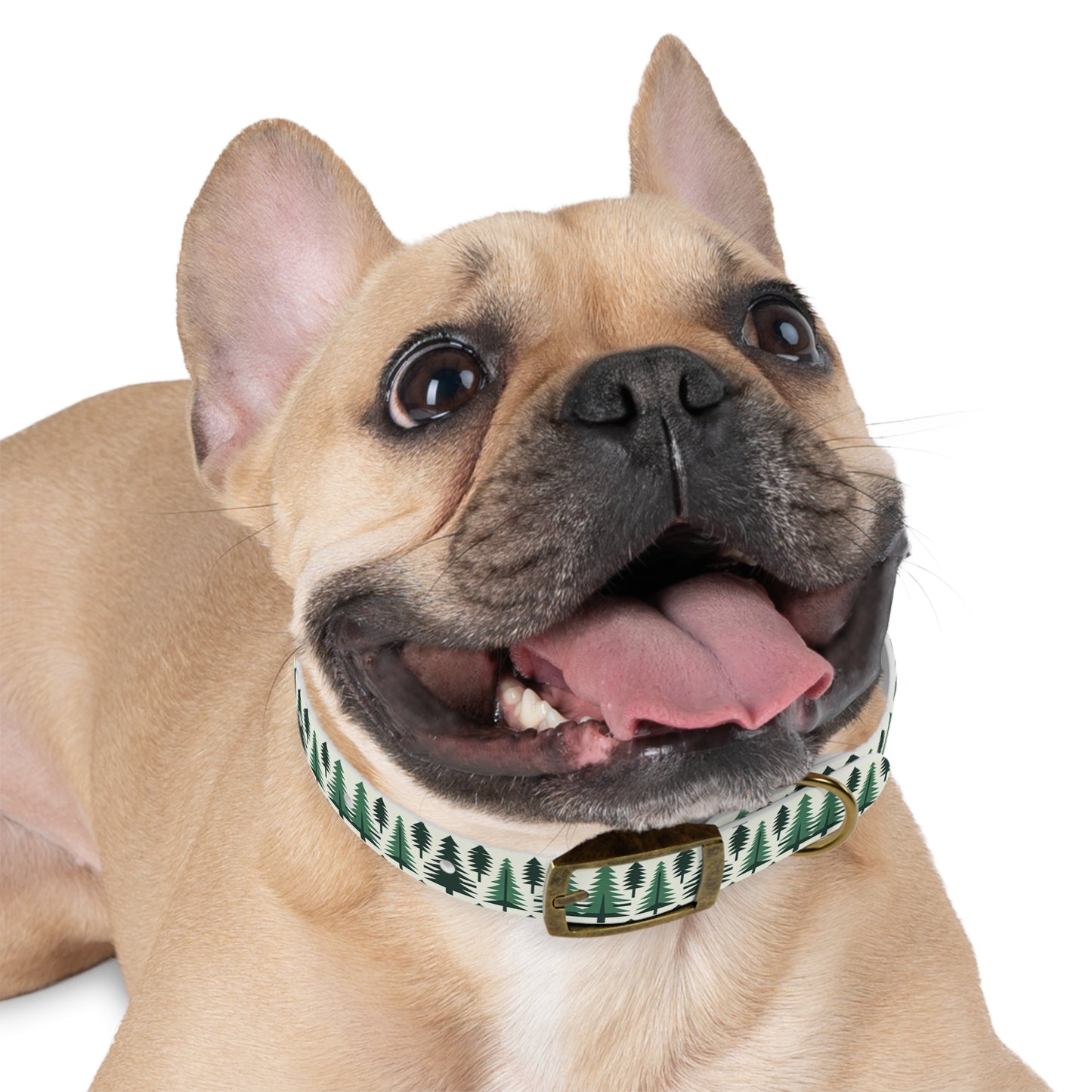 Pine Tree Dog Collar 🌲