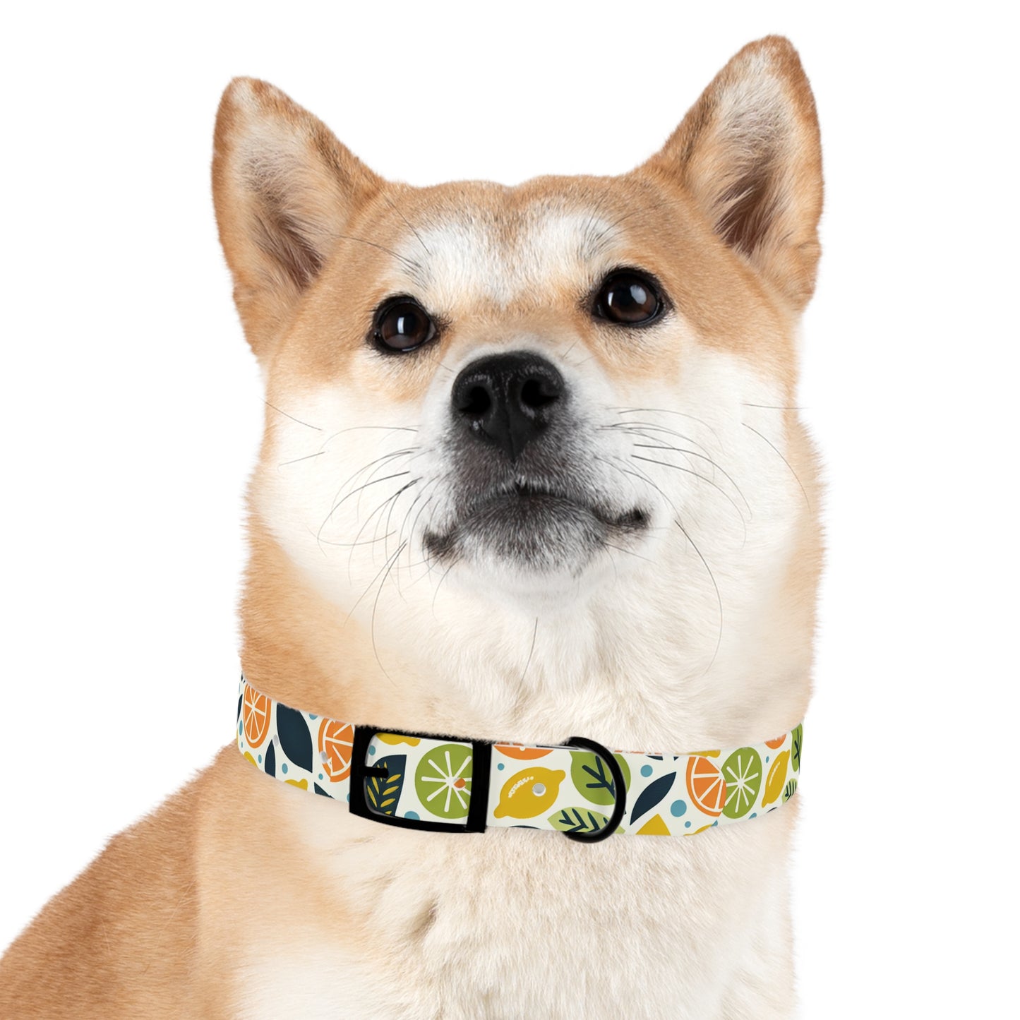 Citrus Dog Collar π