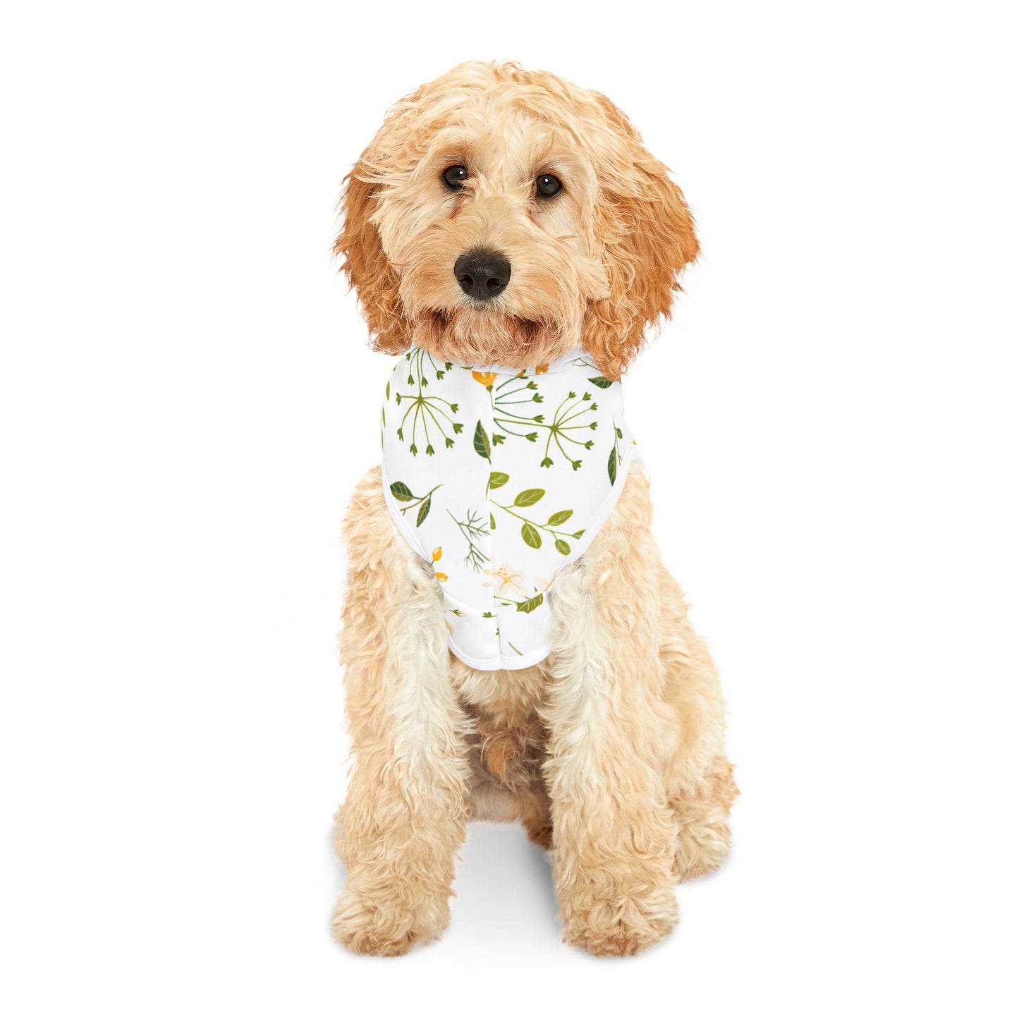 Spring Vibes Pet Hoodie ๐ฟ