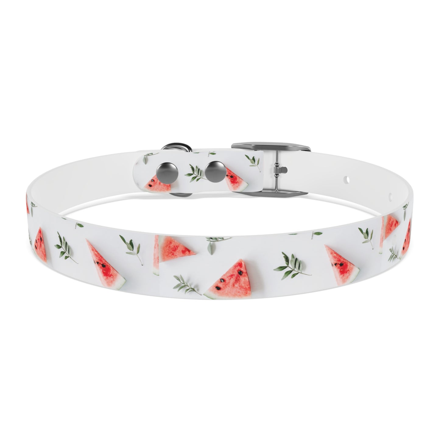 Watermelon Dog Collar π