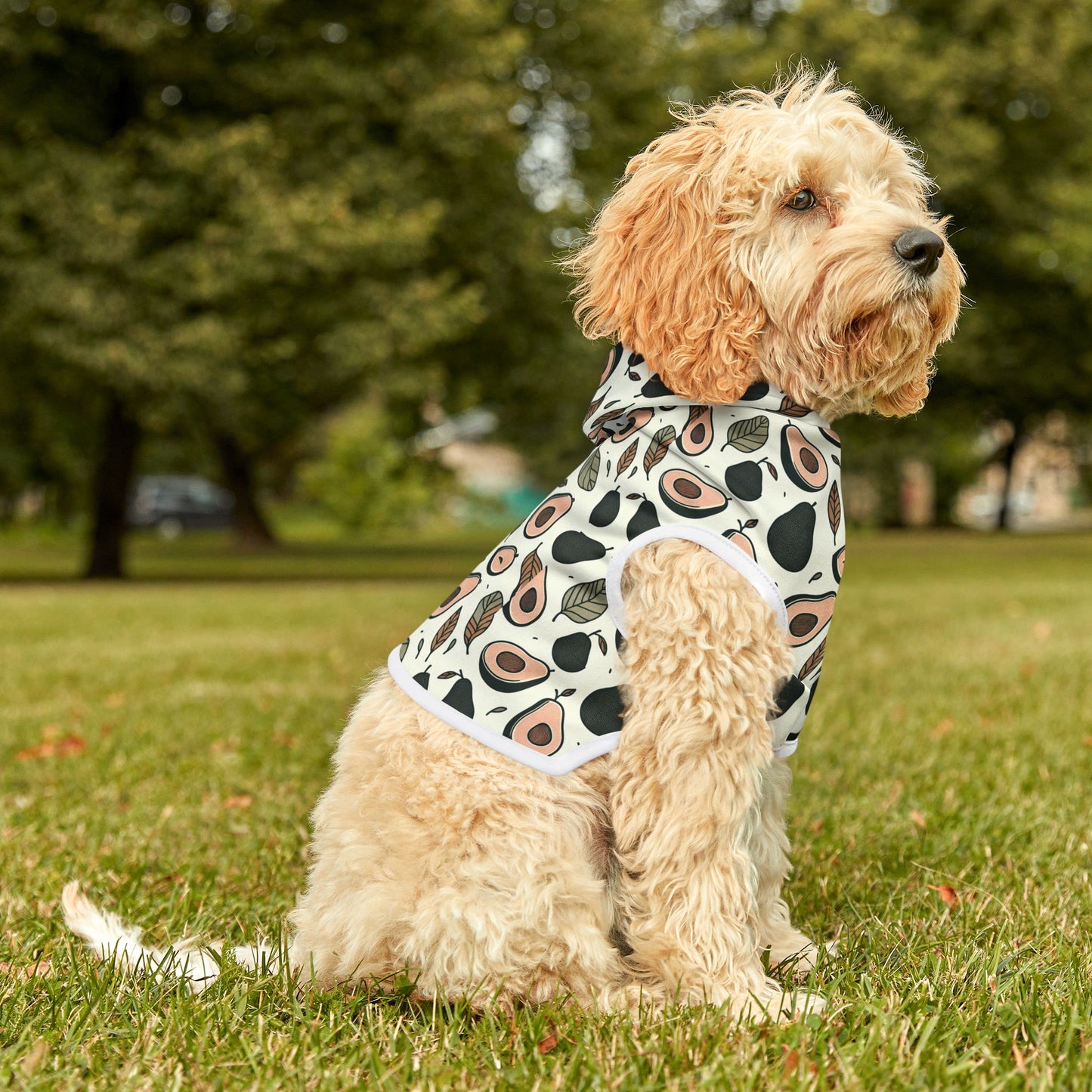 Avocado Pet Hoodie π₯