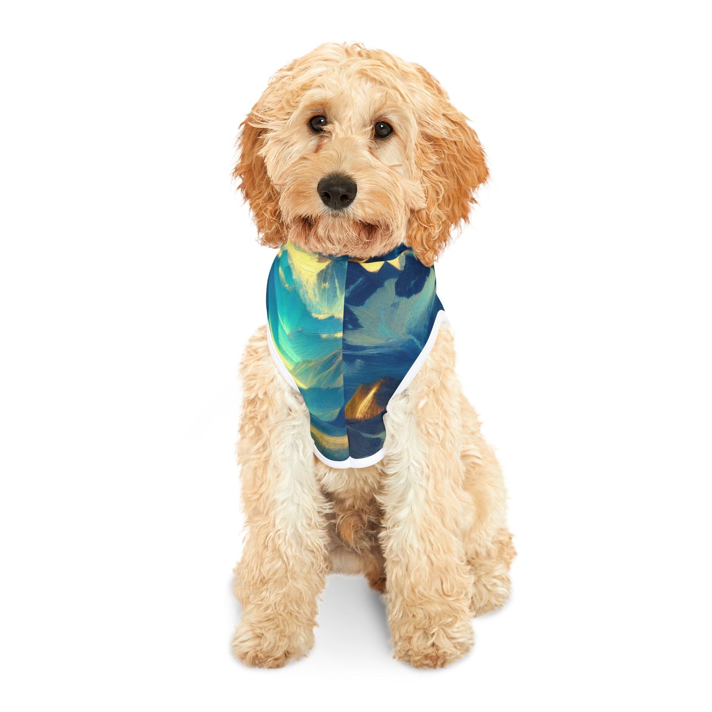 Starry Night Magic Mountain Pet Hoodie πβ¨