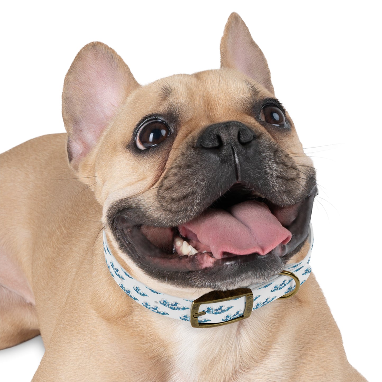 Wave Pattern Dog Collar π