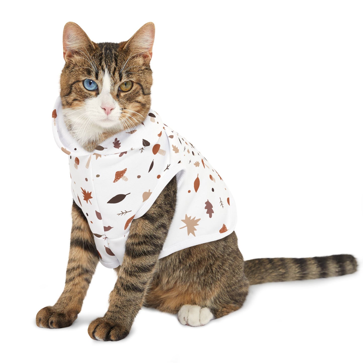 Falling for Fall Pet Hoodie π