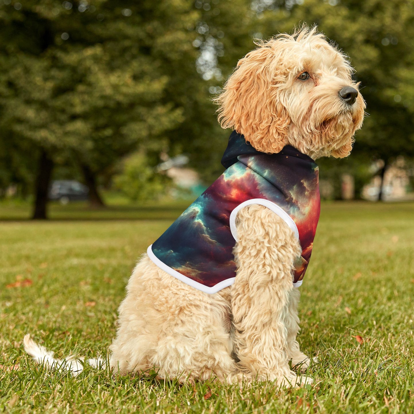 Spacey Pet Hoodie π