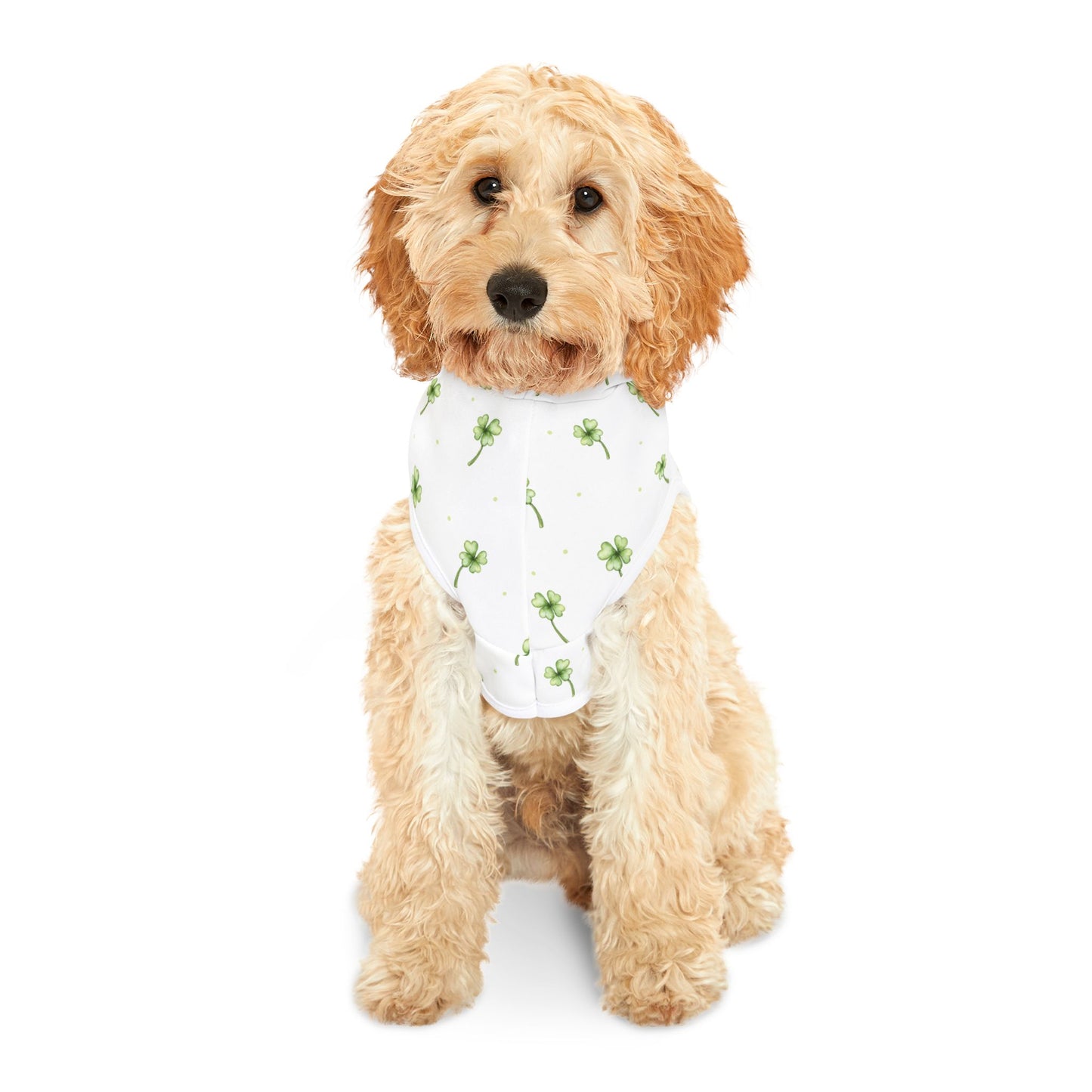 Lucky Clover Pet Hoodie π