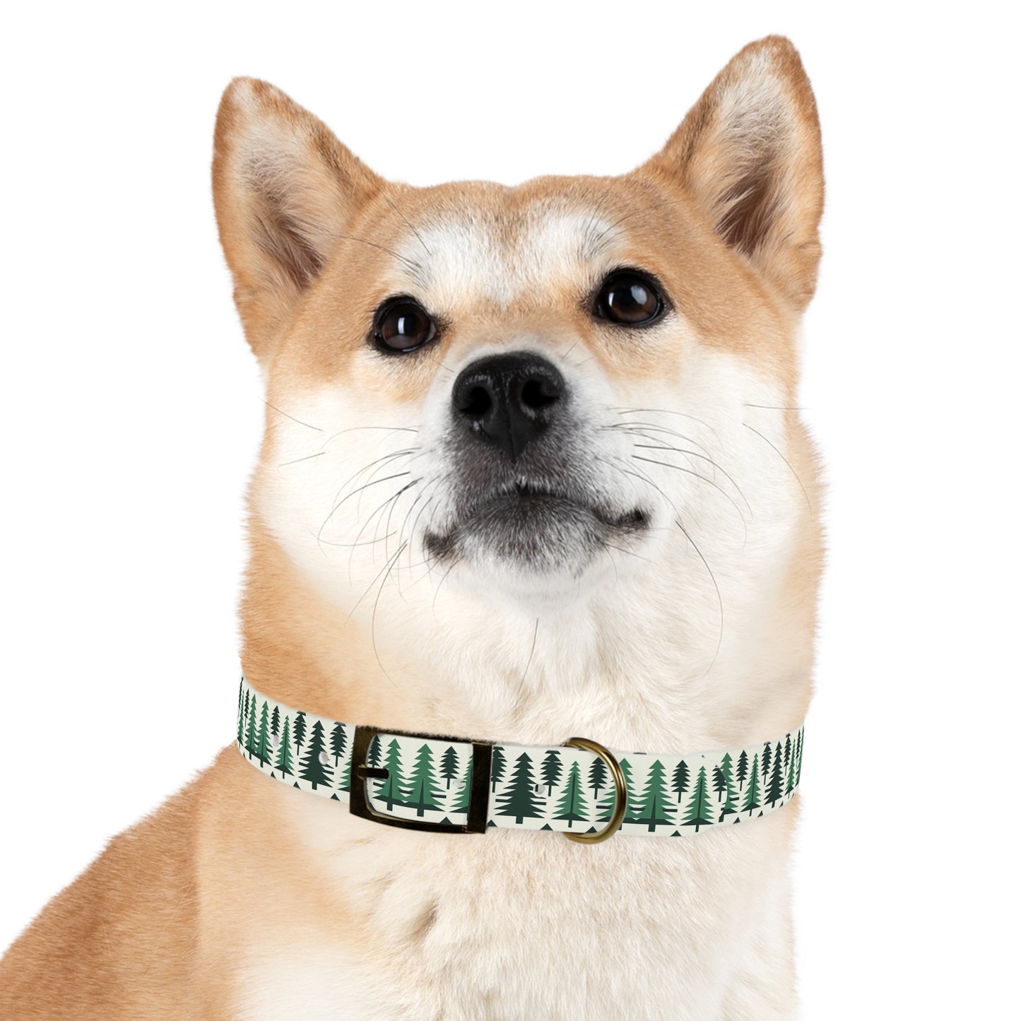 Pine Tree Dog Collar 🌲