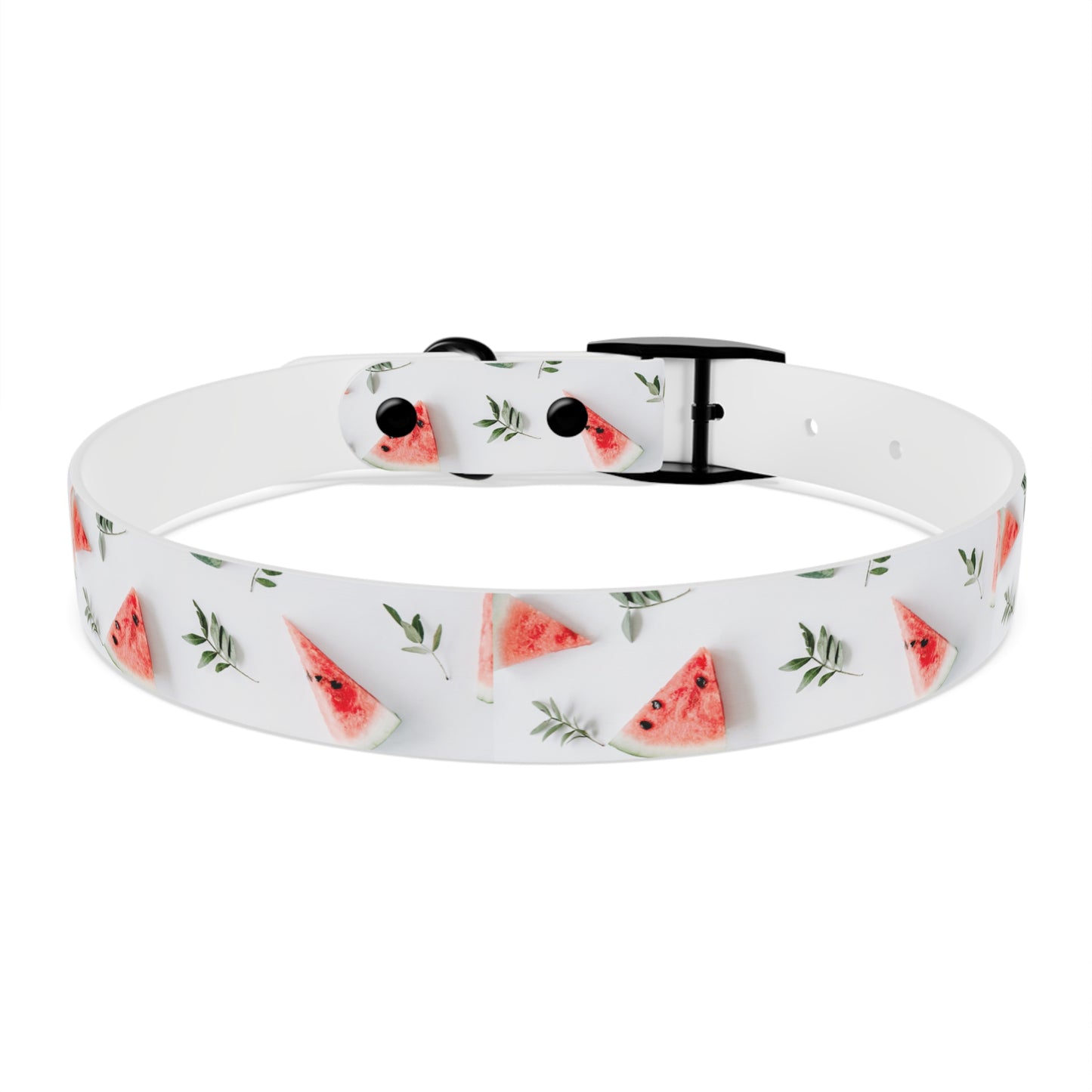 Watermelon Dog Collar π