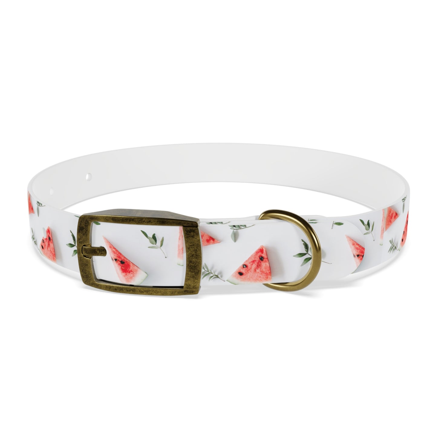 Watermelon Dog Collar π
