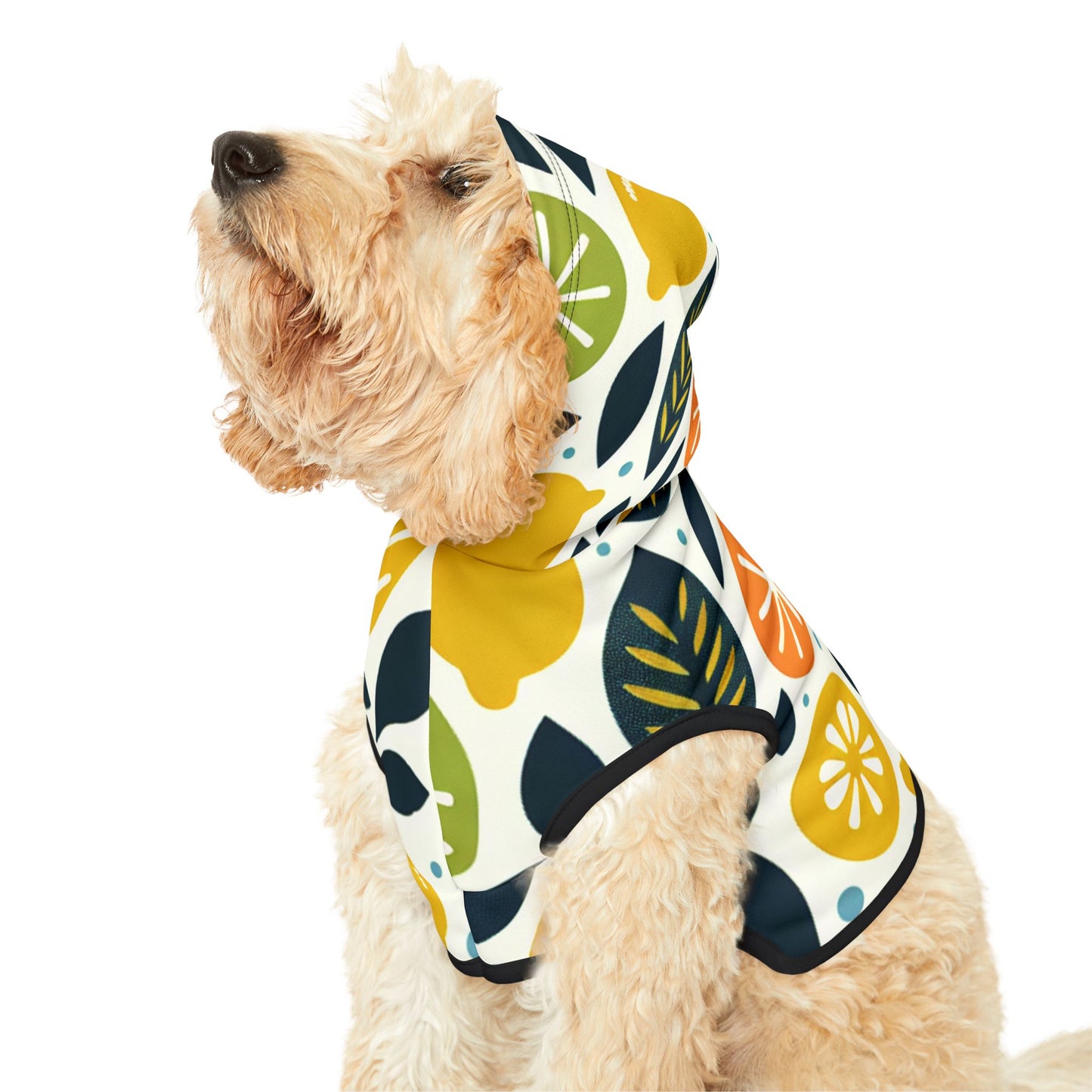 Citrus Pet Hoodie π
