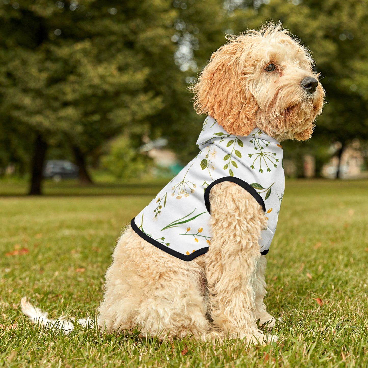 Spring Vibes Pet Hoodie ๐ฟ