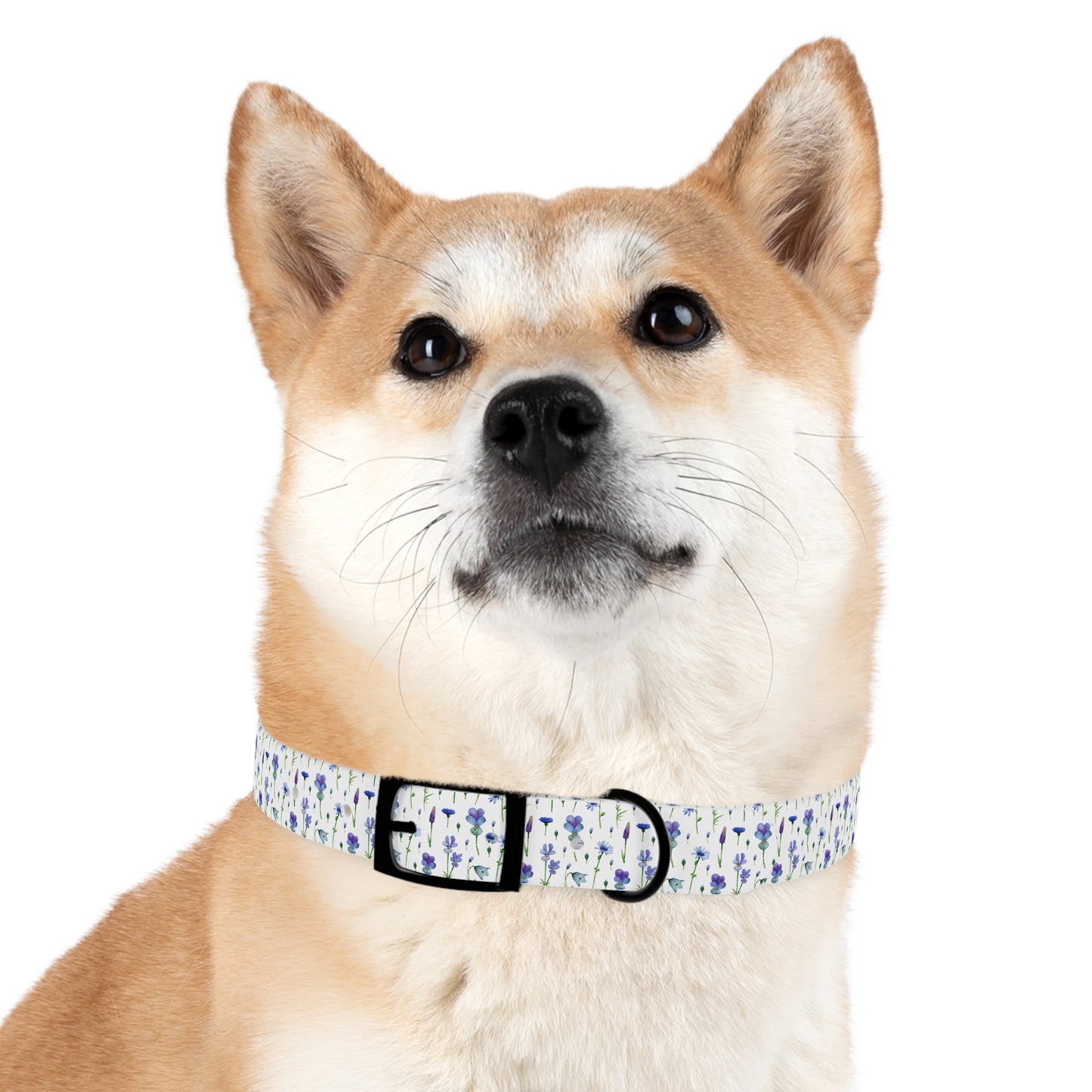 Bluebell Bloom Dog Collar π