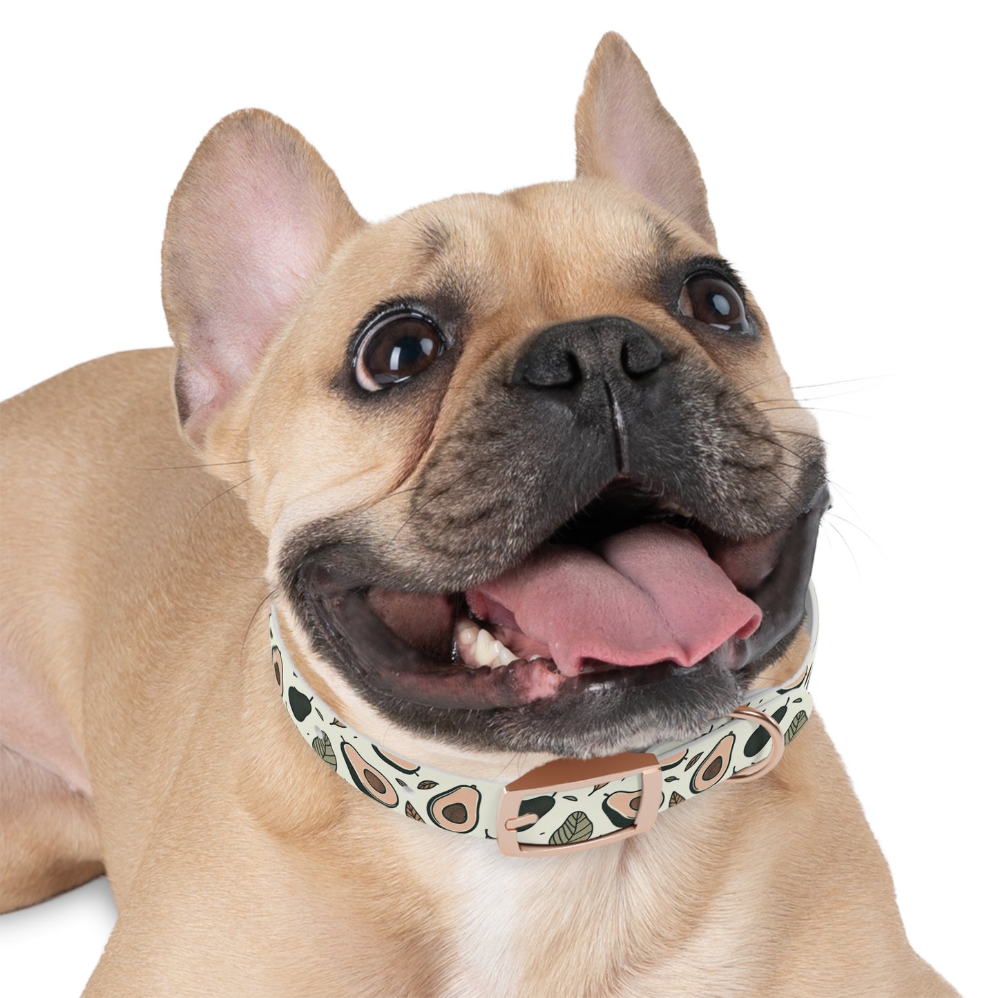 Avocado Dog Collar 🥑