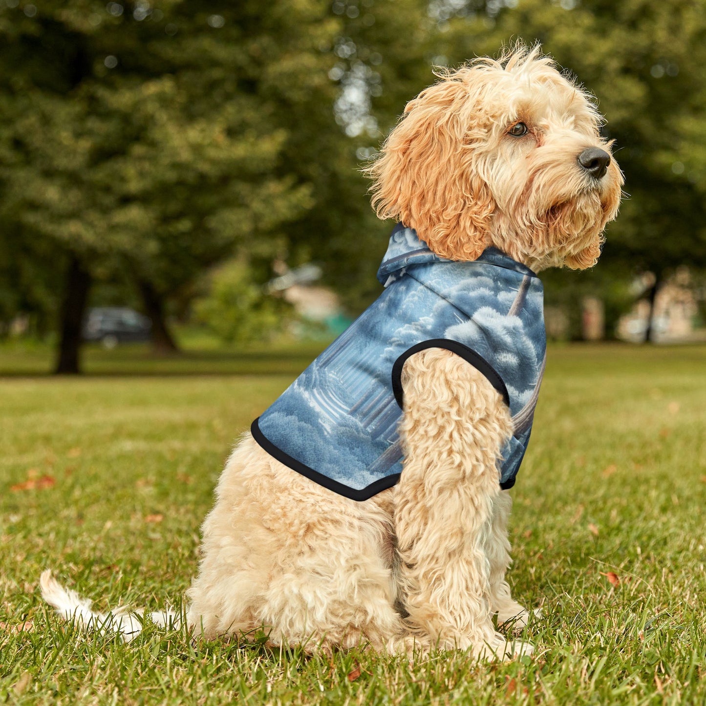 Snowy Forest Pet Hoodie βοΈπ²
