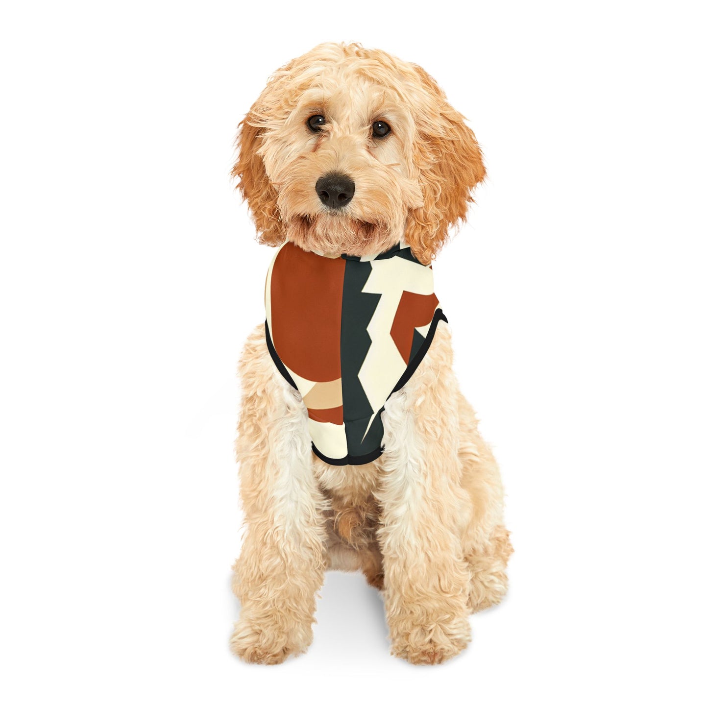 Minimalist Mountain Pet Hoodie ποΈ